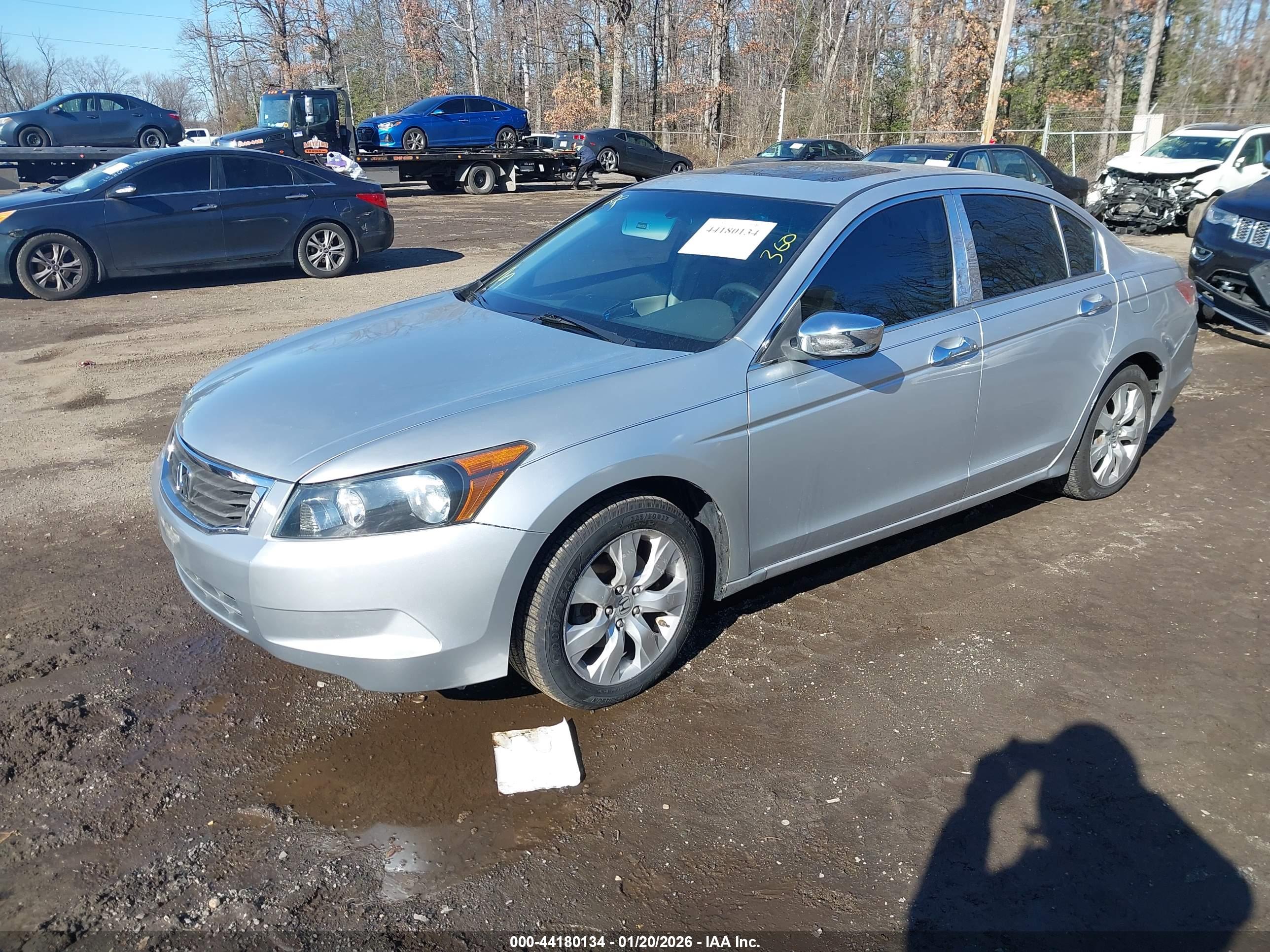 HONDA ACCORD image 2