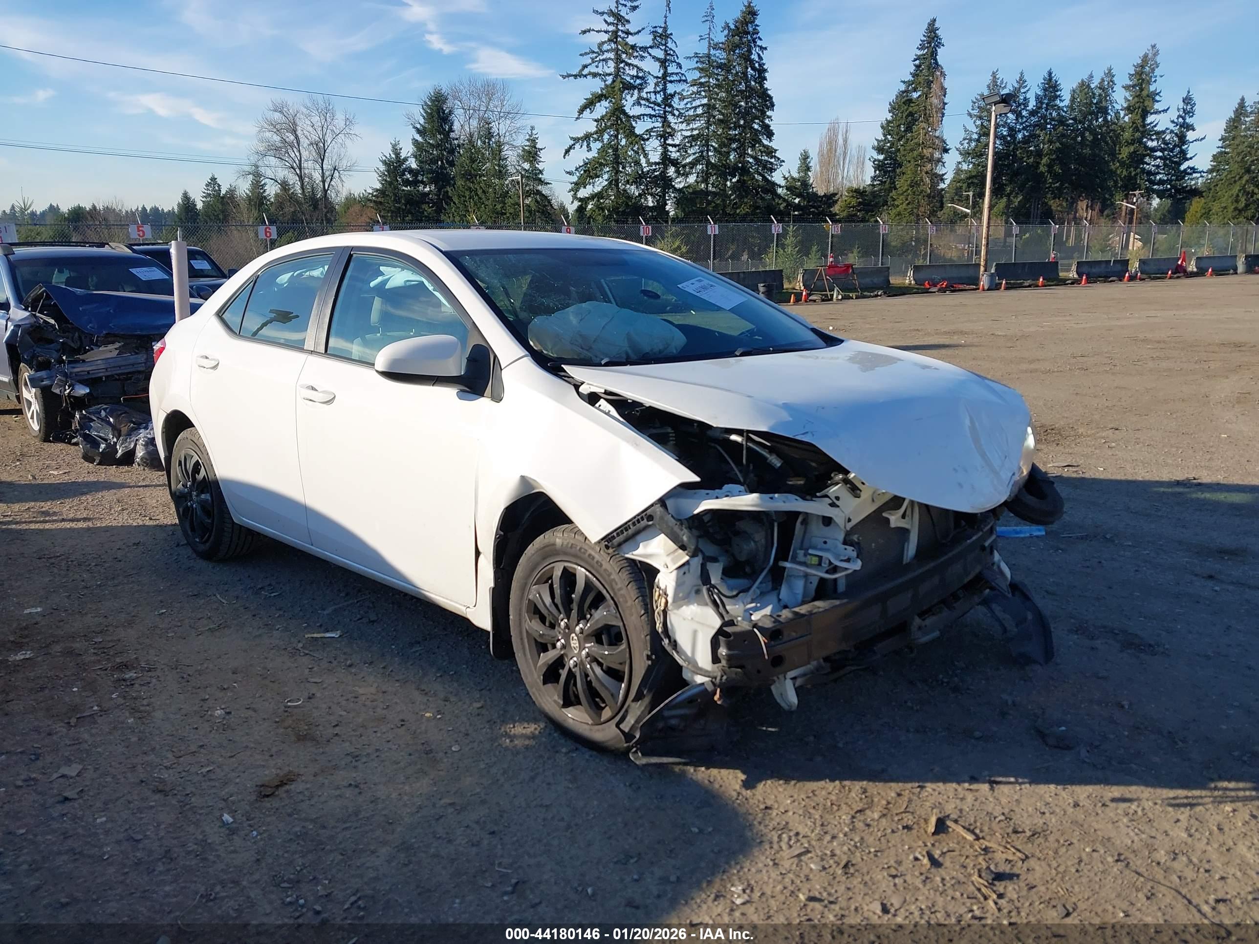 TOYOTA COROLLA image 6