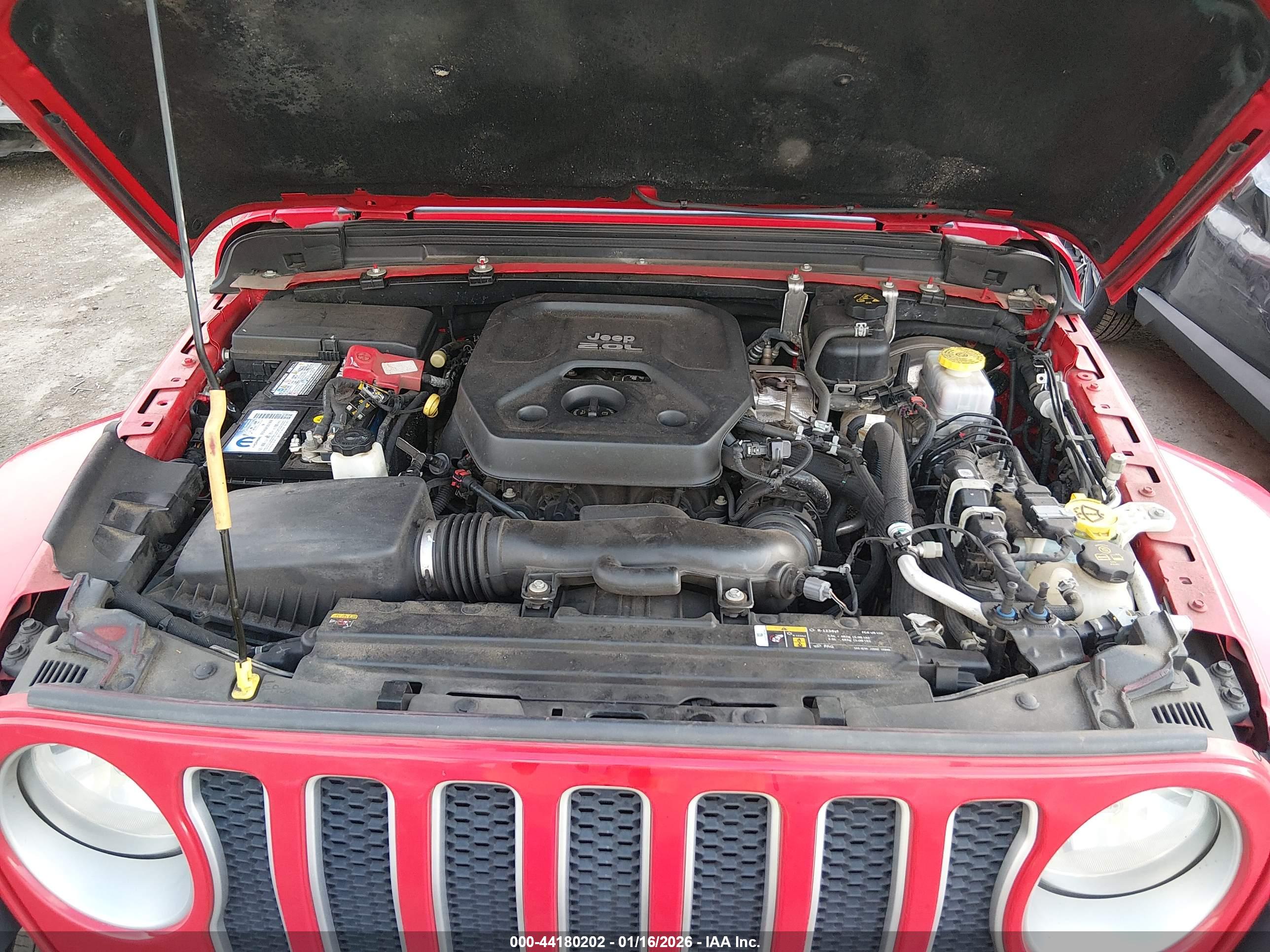 JEEP WRANGLER image 10