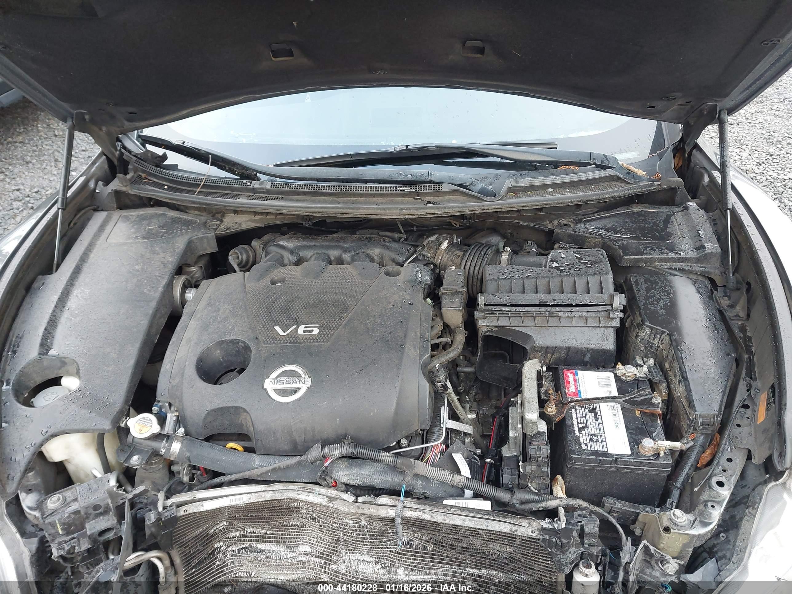 NISSAN MAXIMA image 10