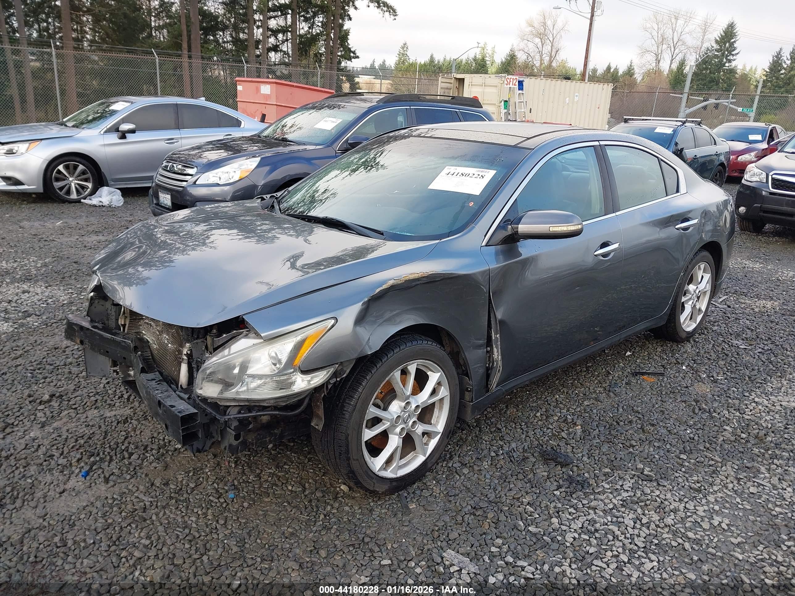 NISSAN MAXIMA image 2