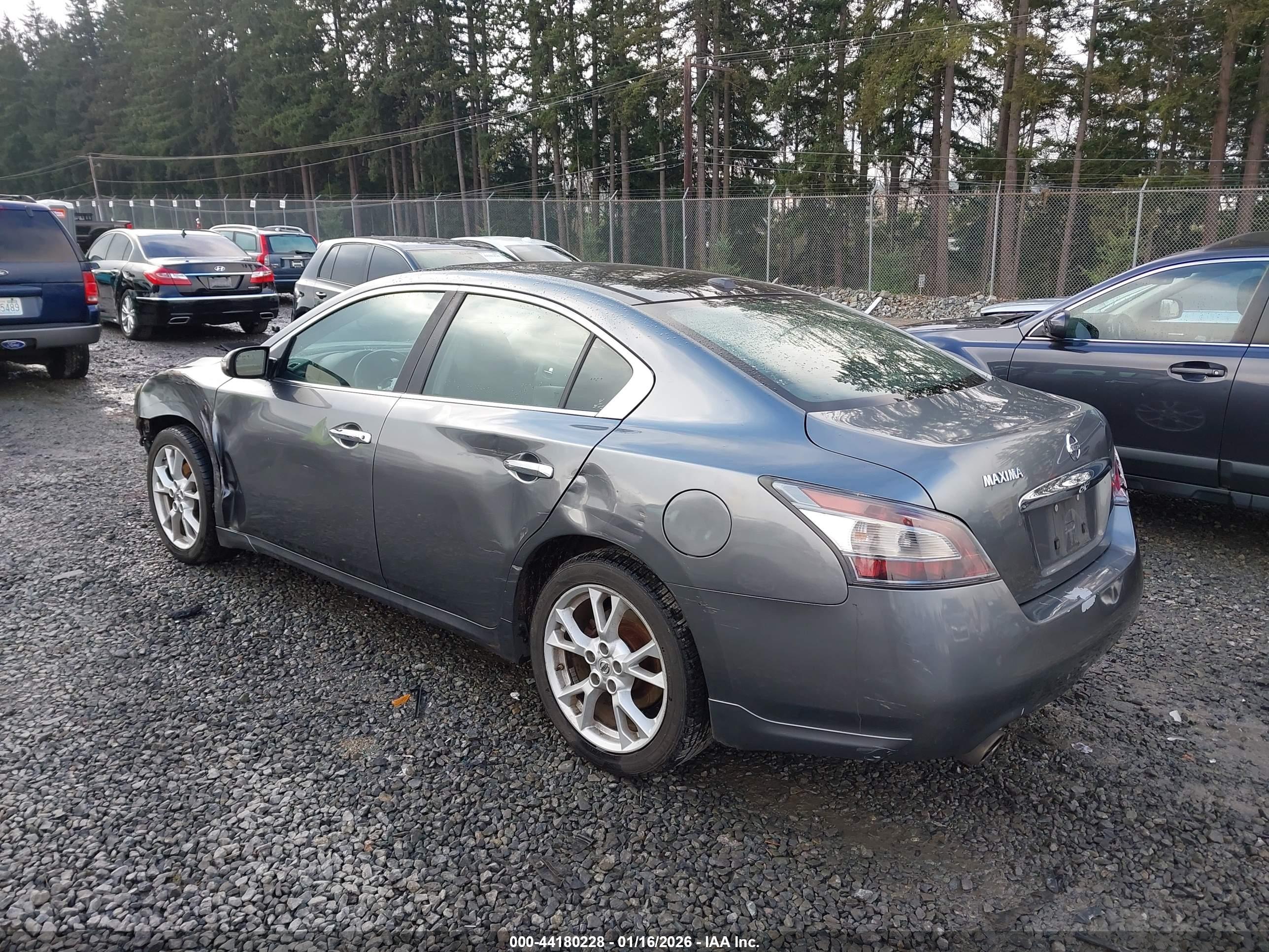 NISSAN MAXIMA image 3
