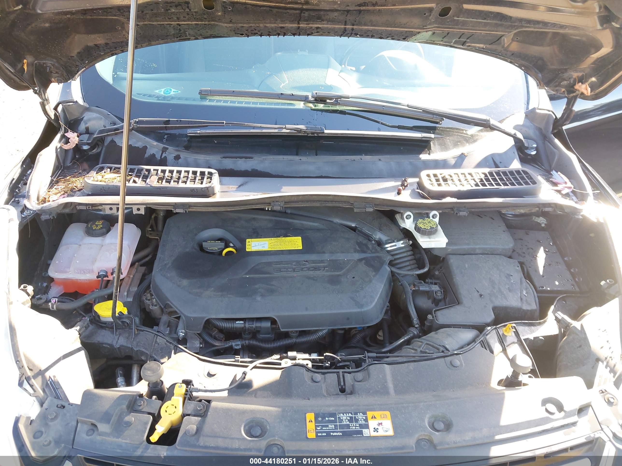 FORD ESCAPE image 10
