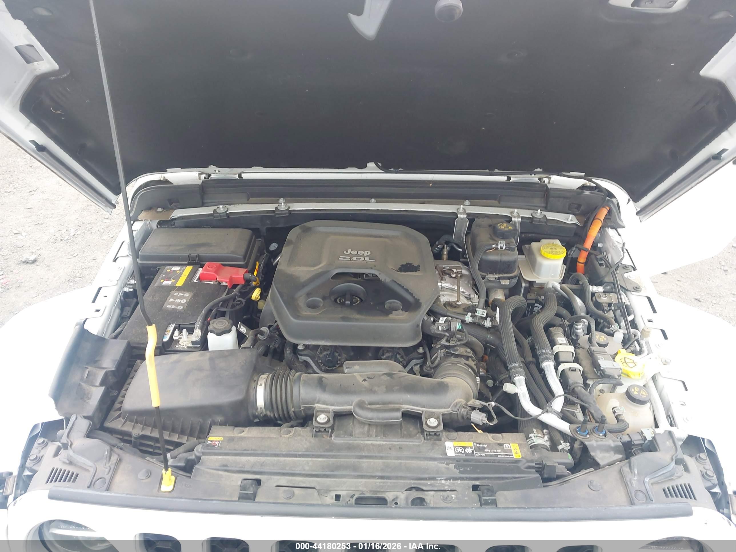 JEEP WRANGLER image 10