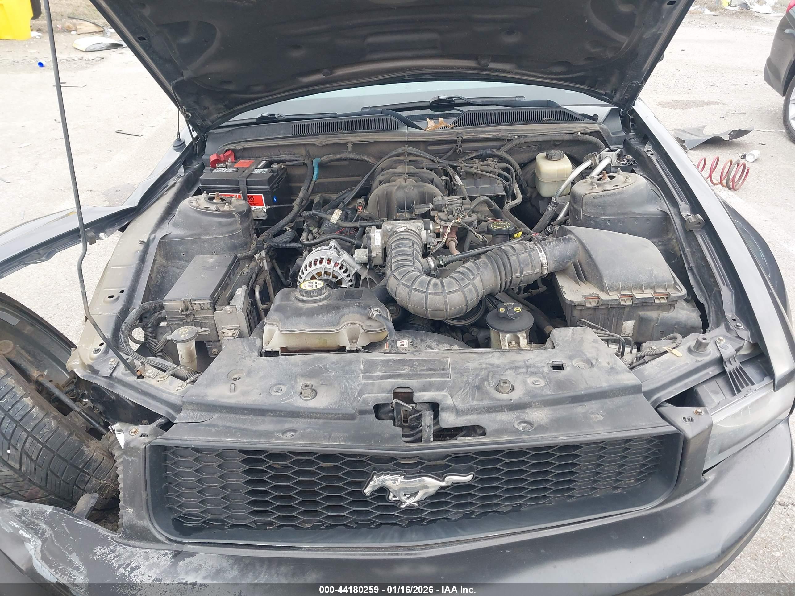 FORD MUSTANG image 10