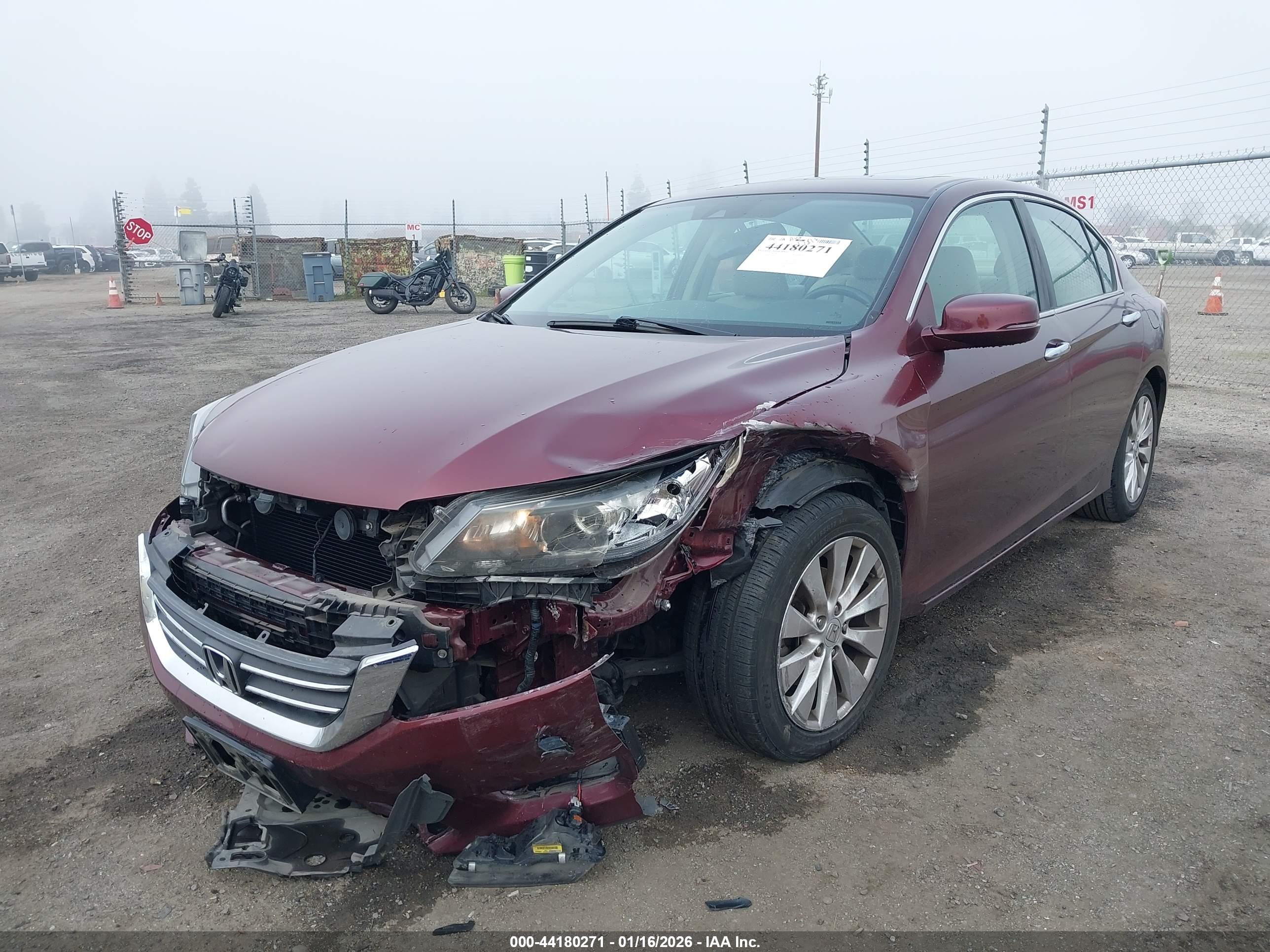 HONDA ACCORD image 2