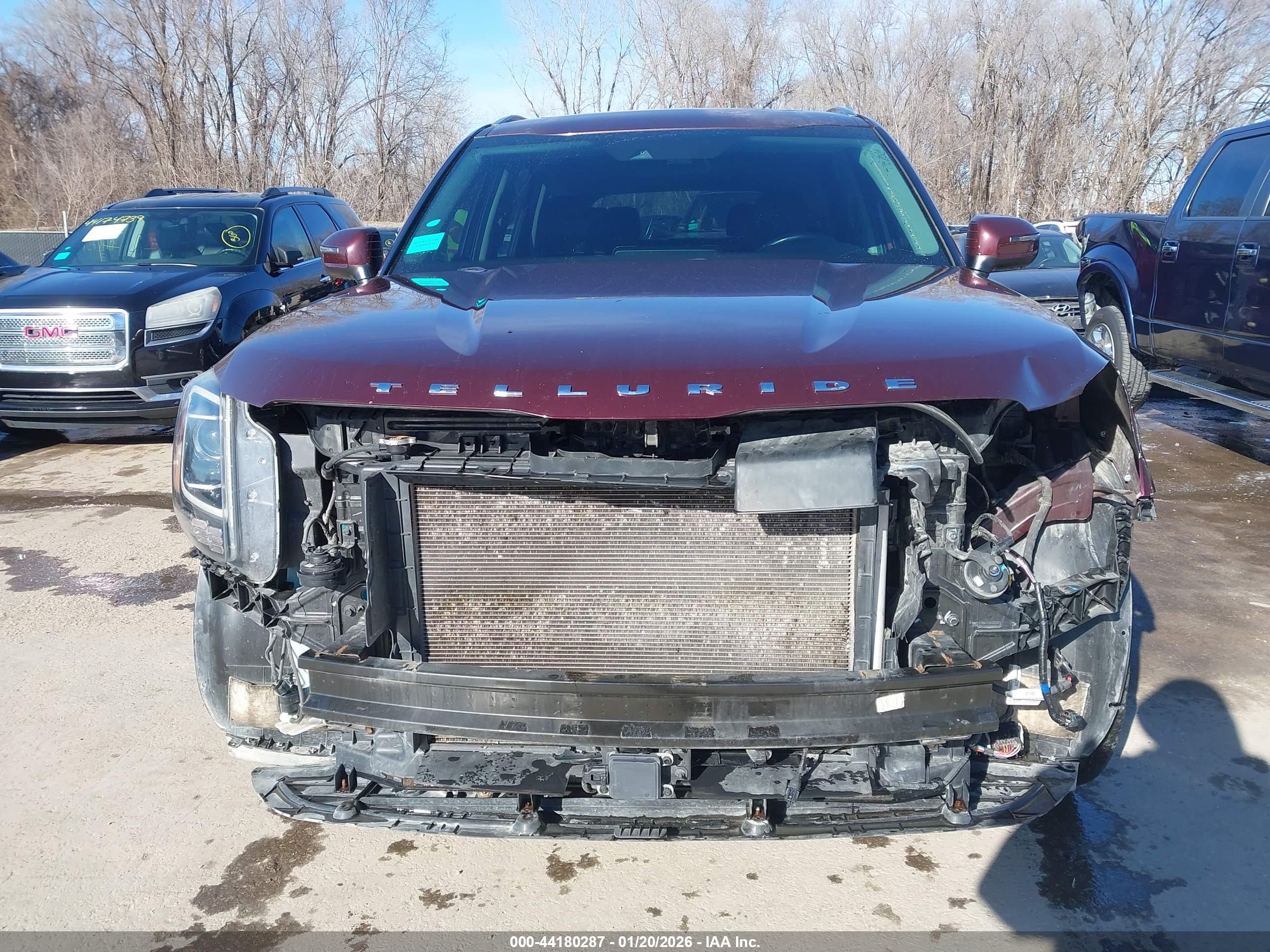 KIA TELLURIDE image 6