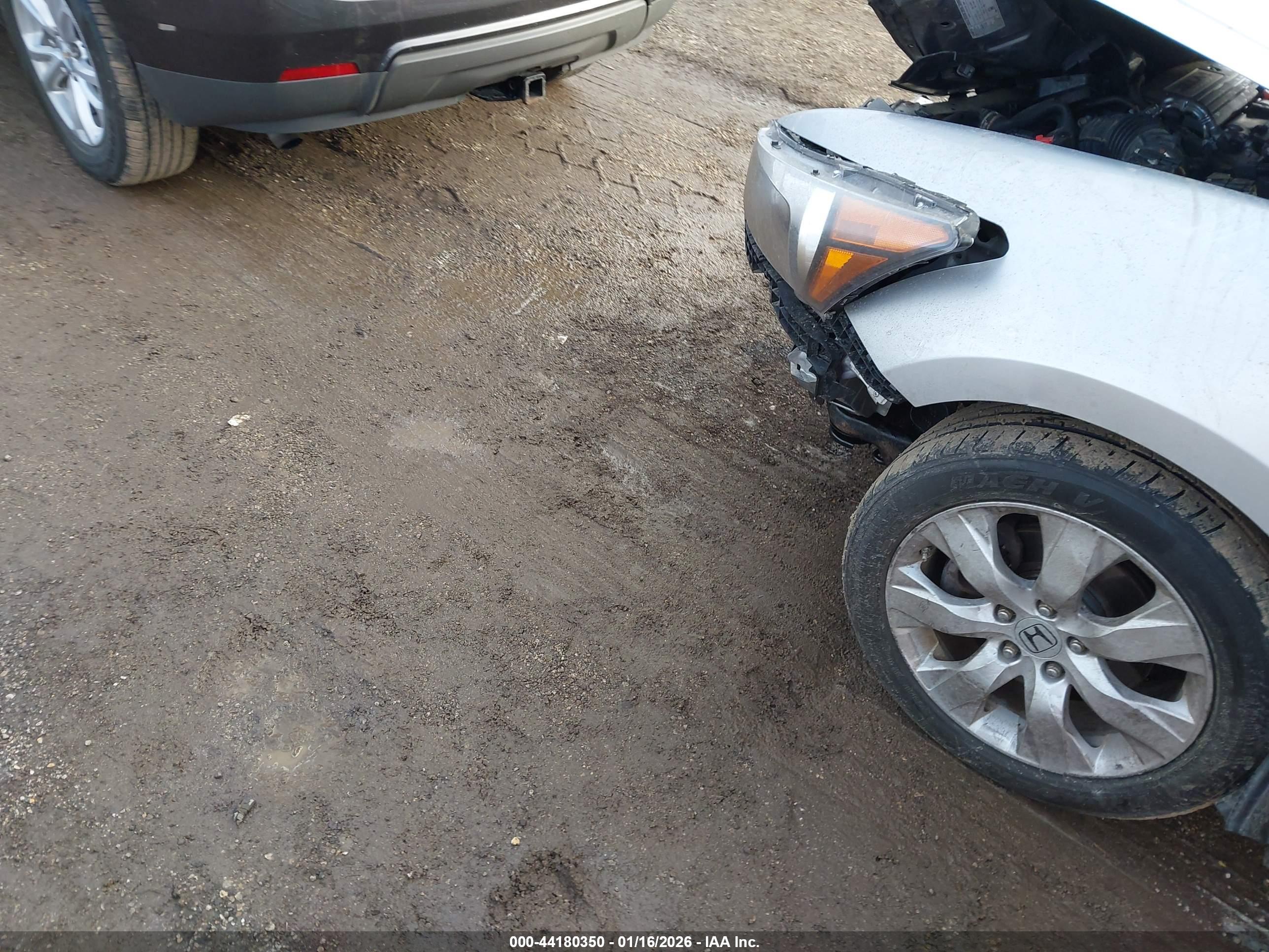 HONDA ACCORD image 6