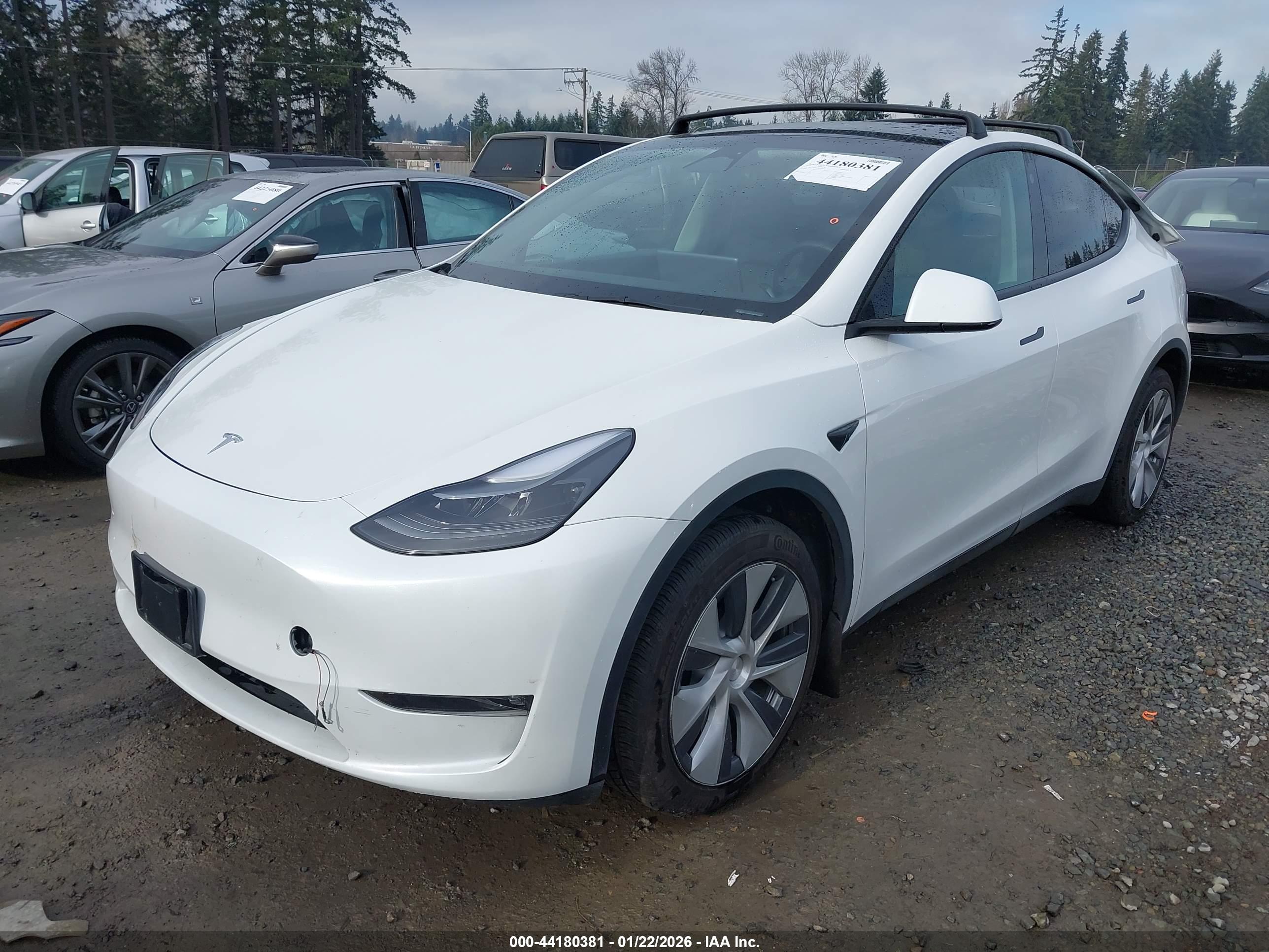 TESLA MODEL image 2