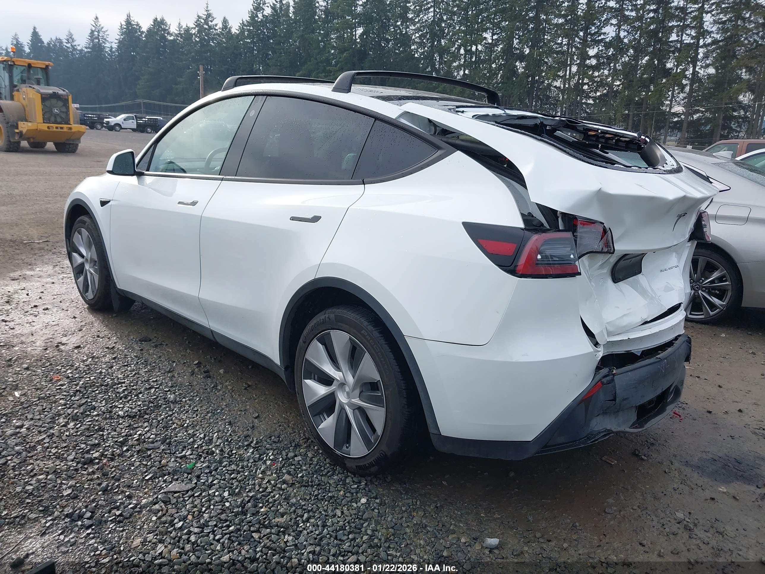 TESLA MODEL image 3