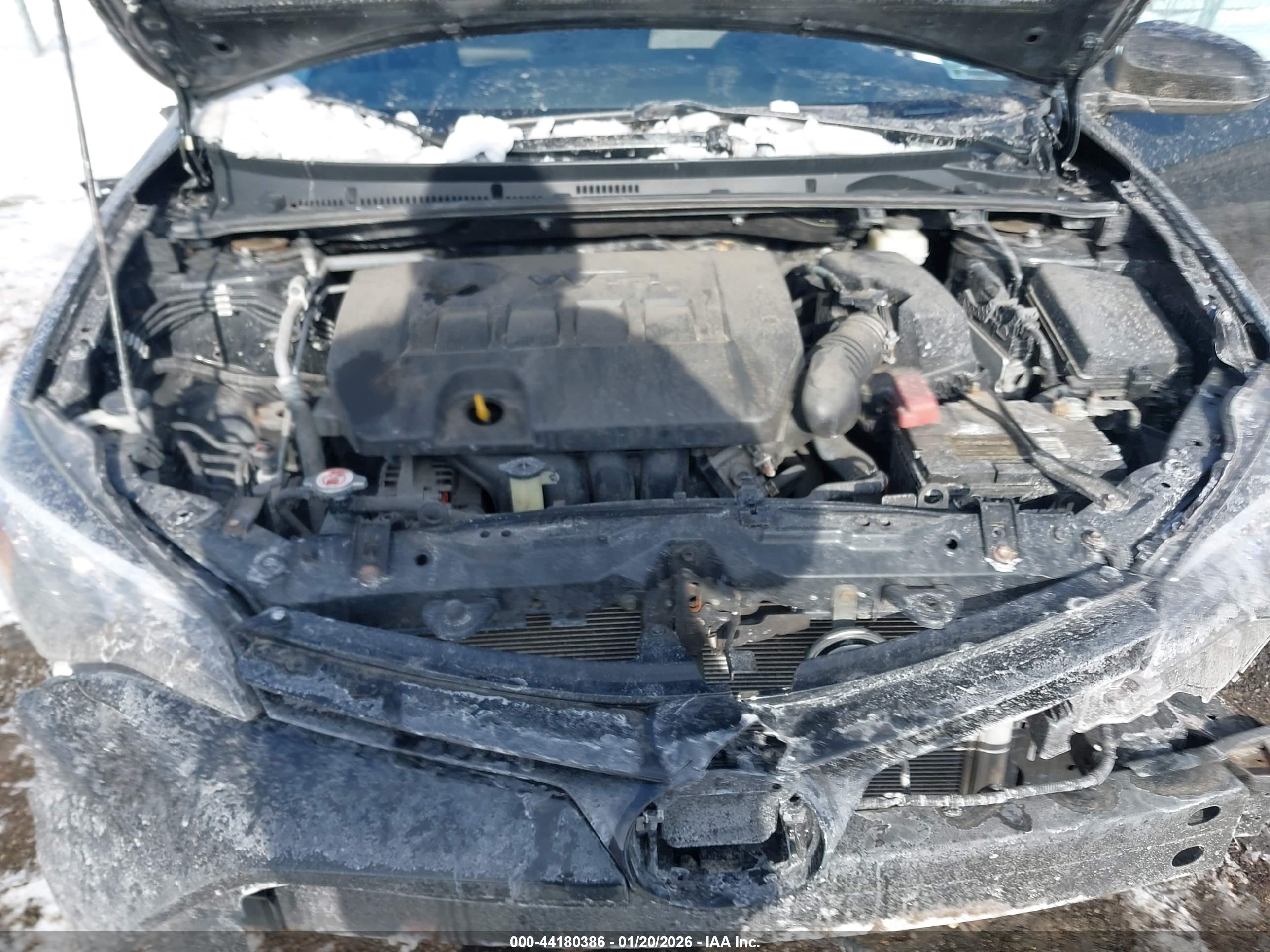 TOYOTA COROLLA image 10
