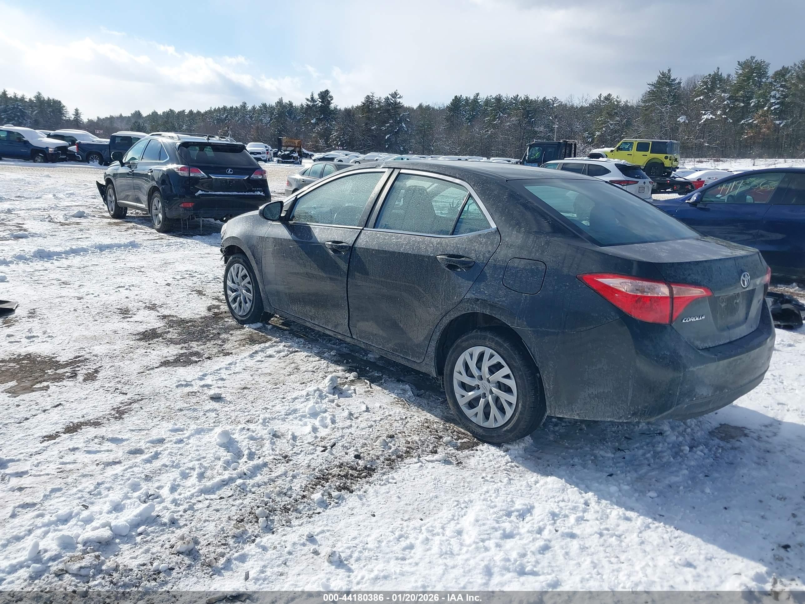 TOYOTA COROLLA image 3