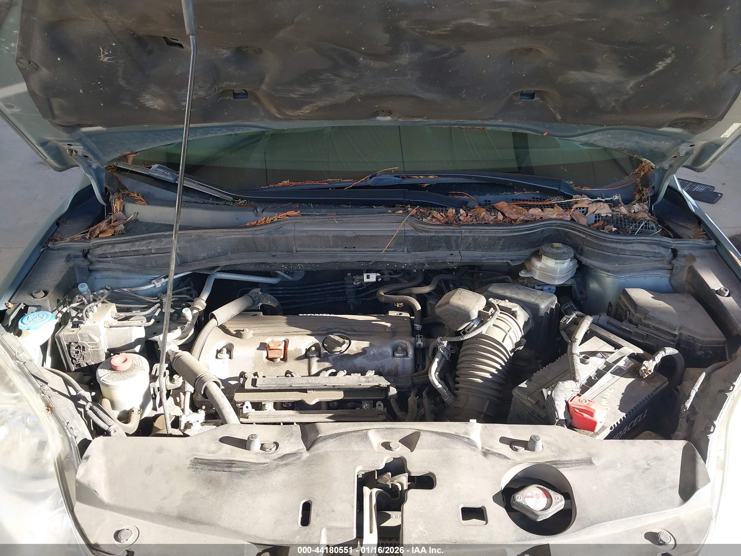 HONDA CR-V image 10