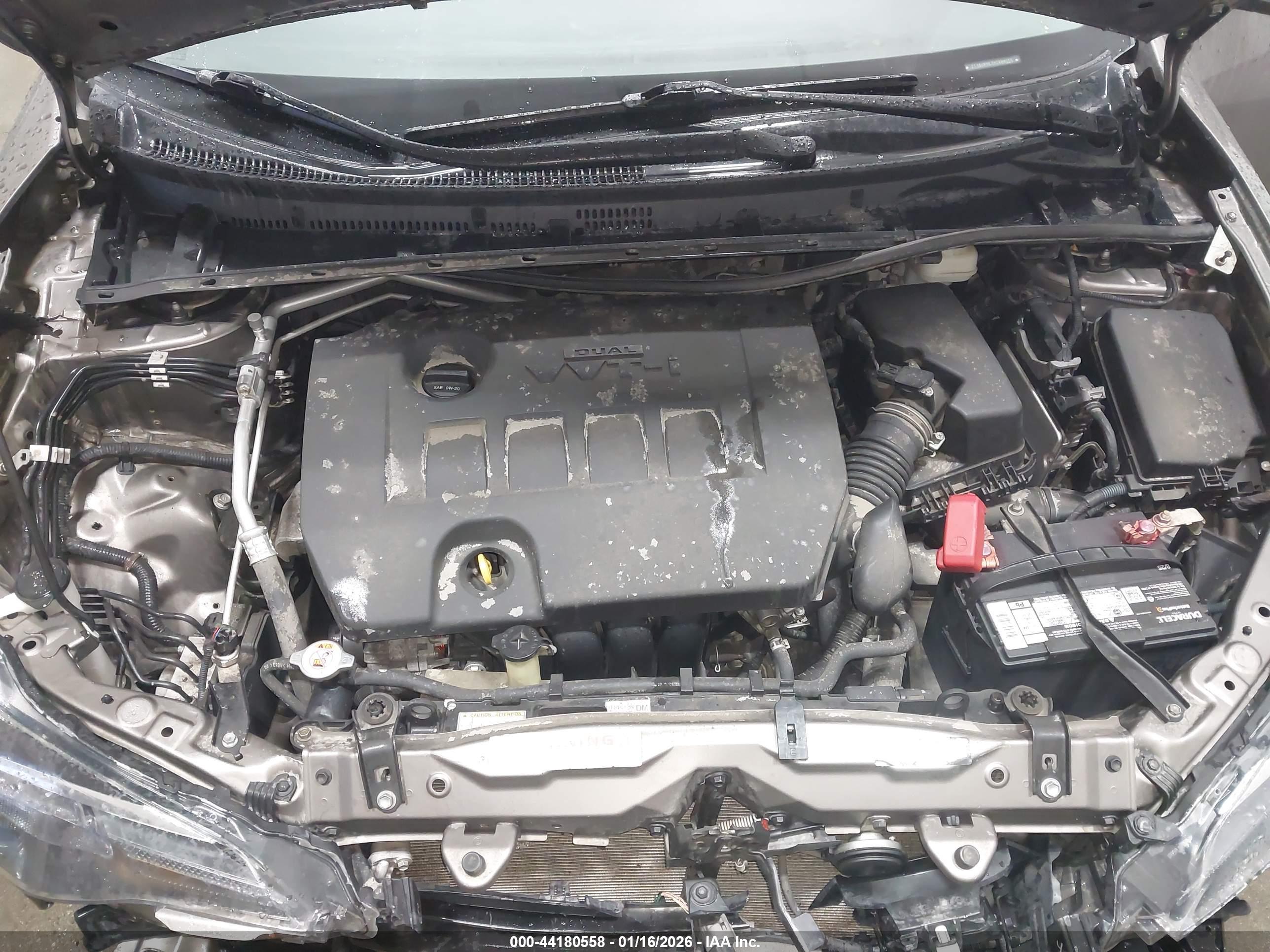 TOYOTA COROLLA image 10