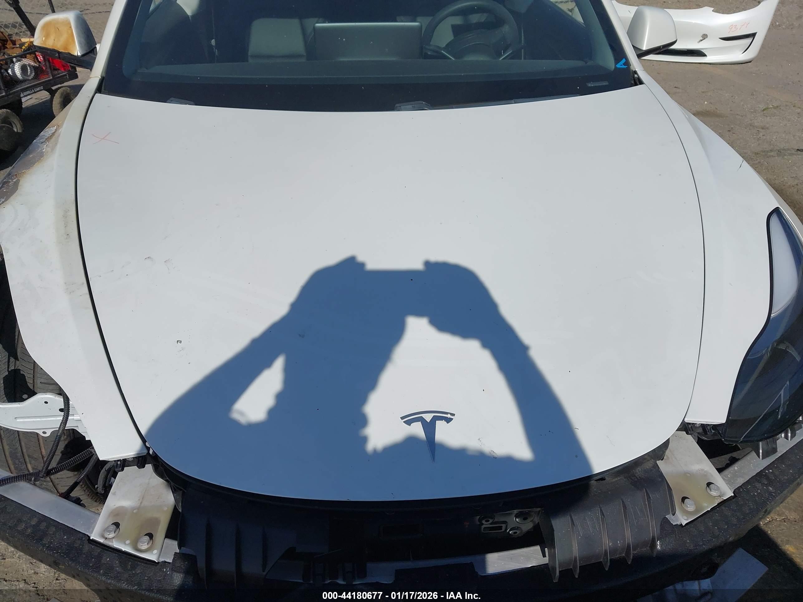 TESLA MODEL image 10