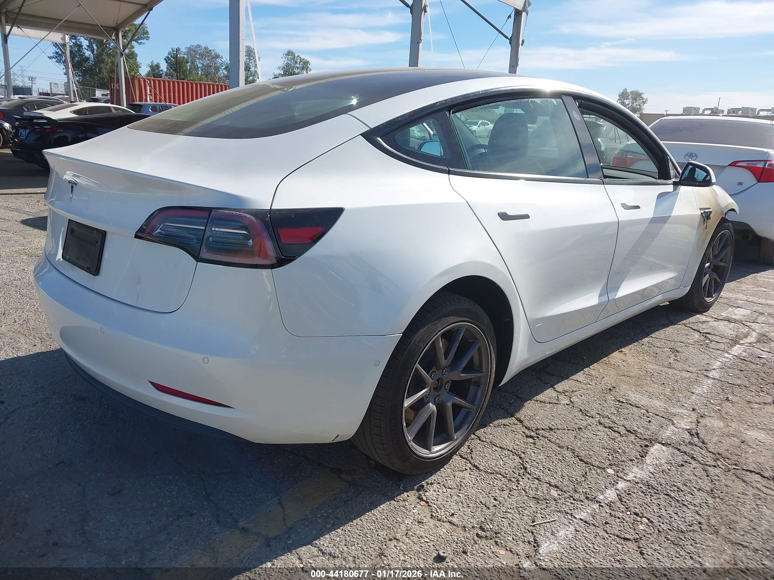 TESLA MODEL image 4