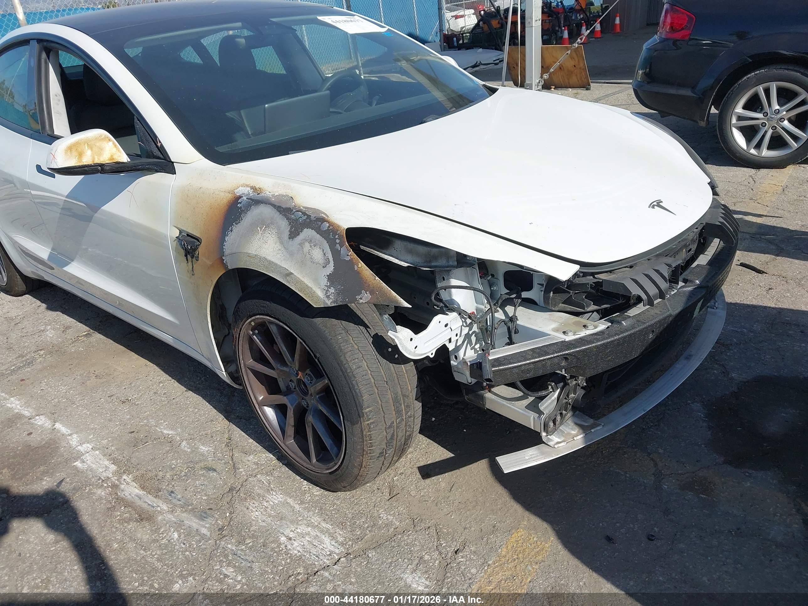 TESLA MODEL image 6
