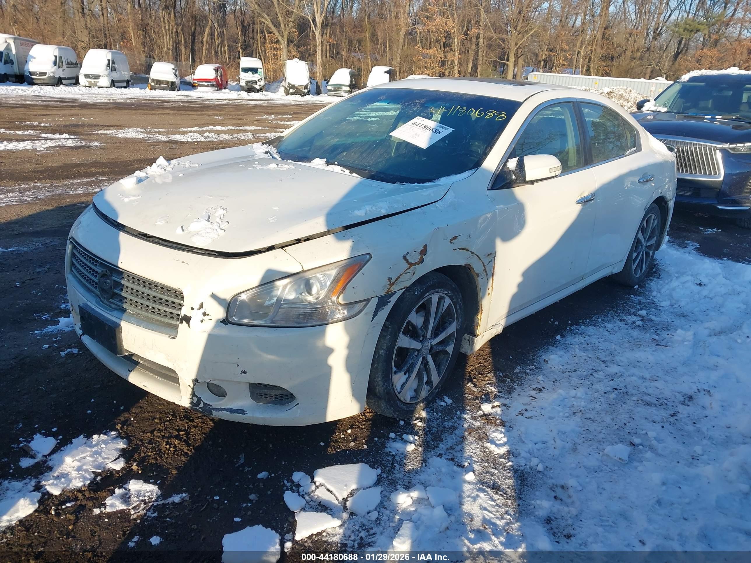 NISSAN MAXIMA image 2