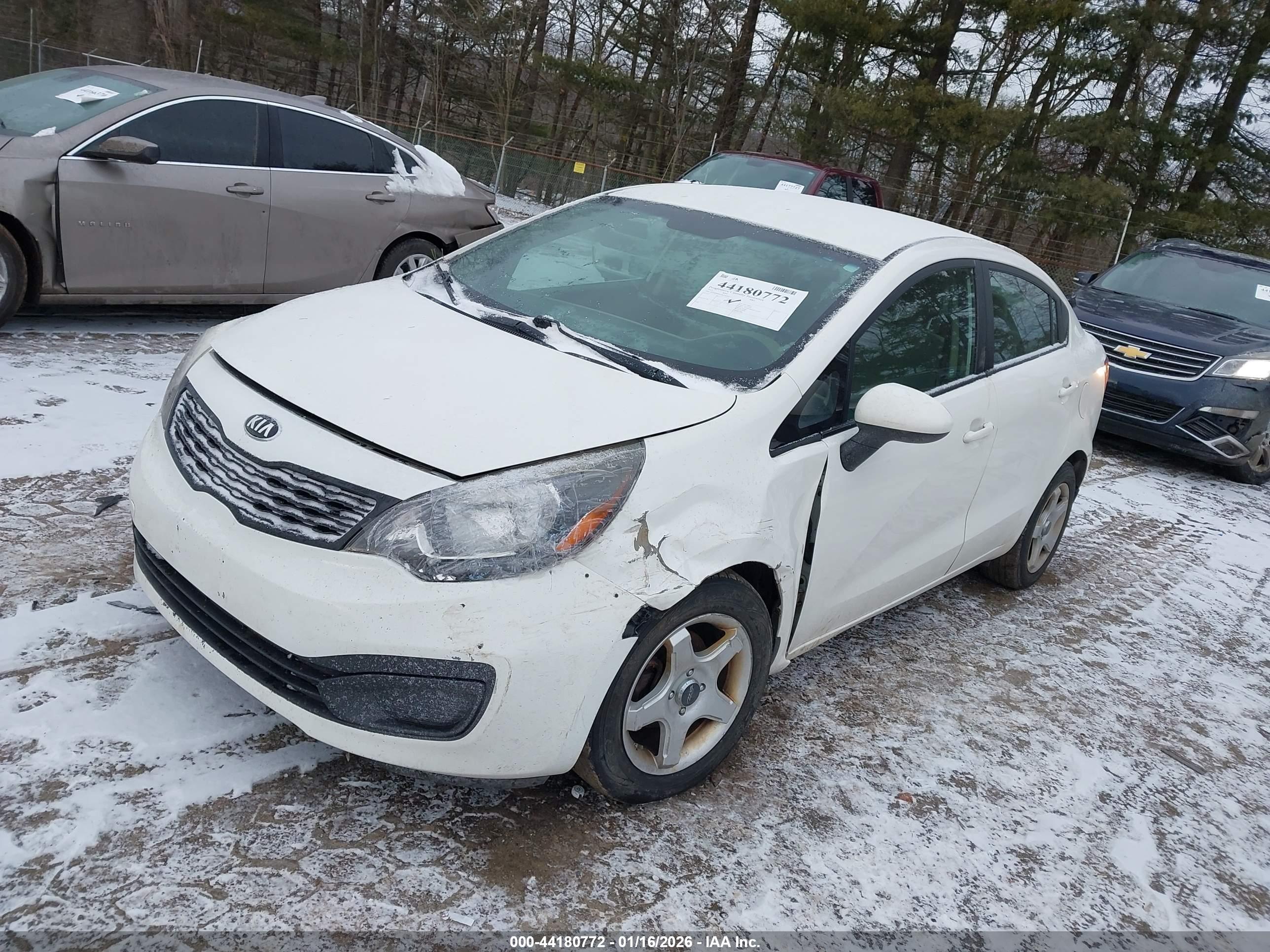 KIA RIO image 2