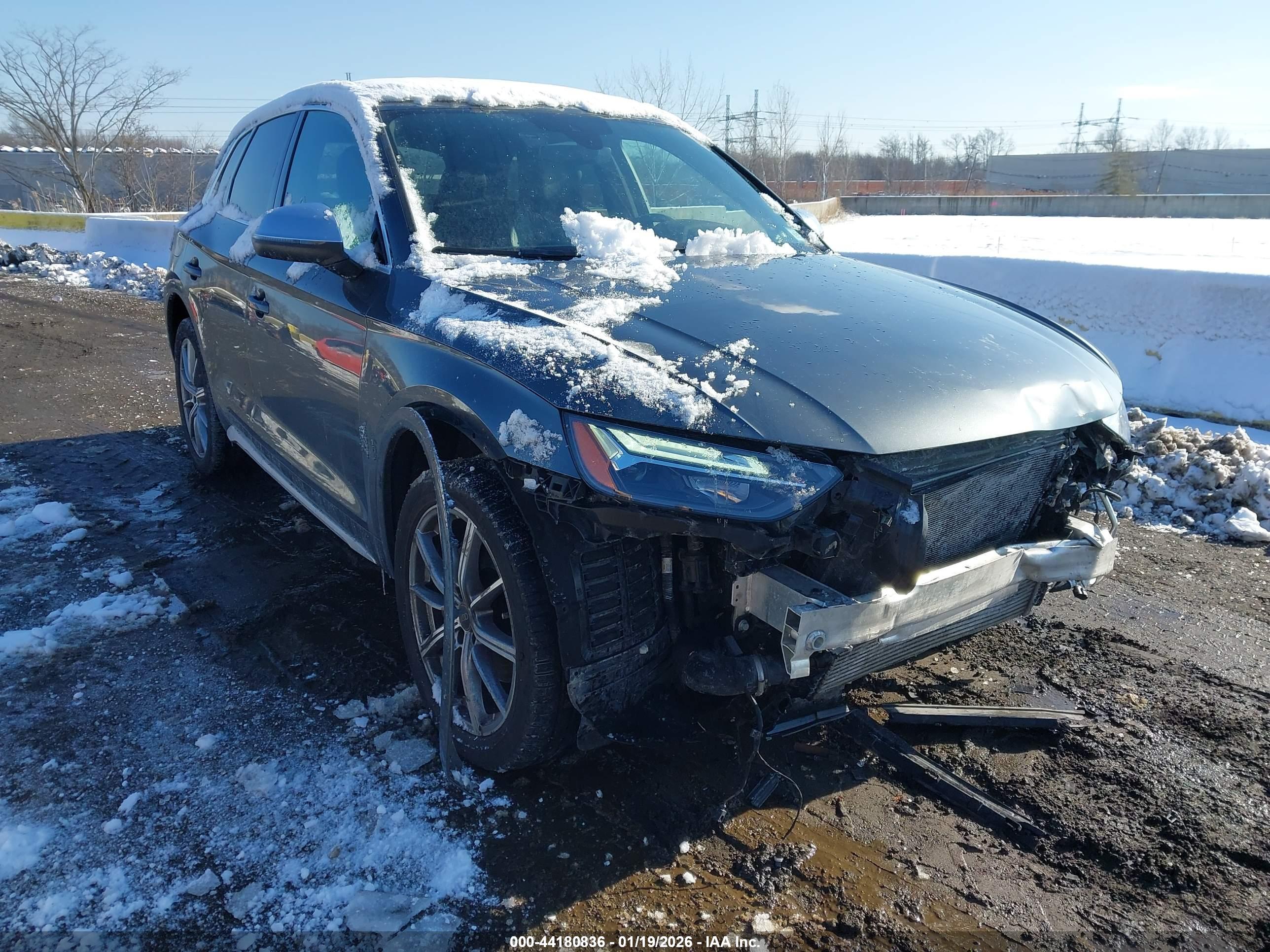 AUDI SQ5 image 6