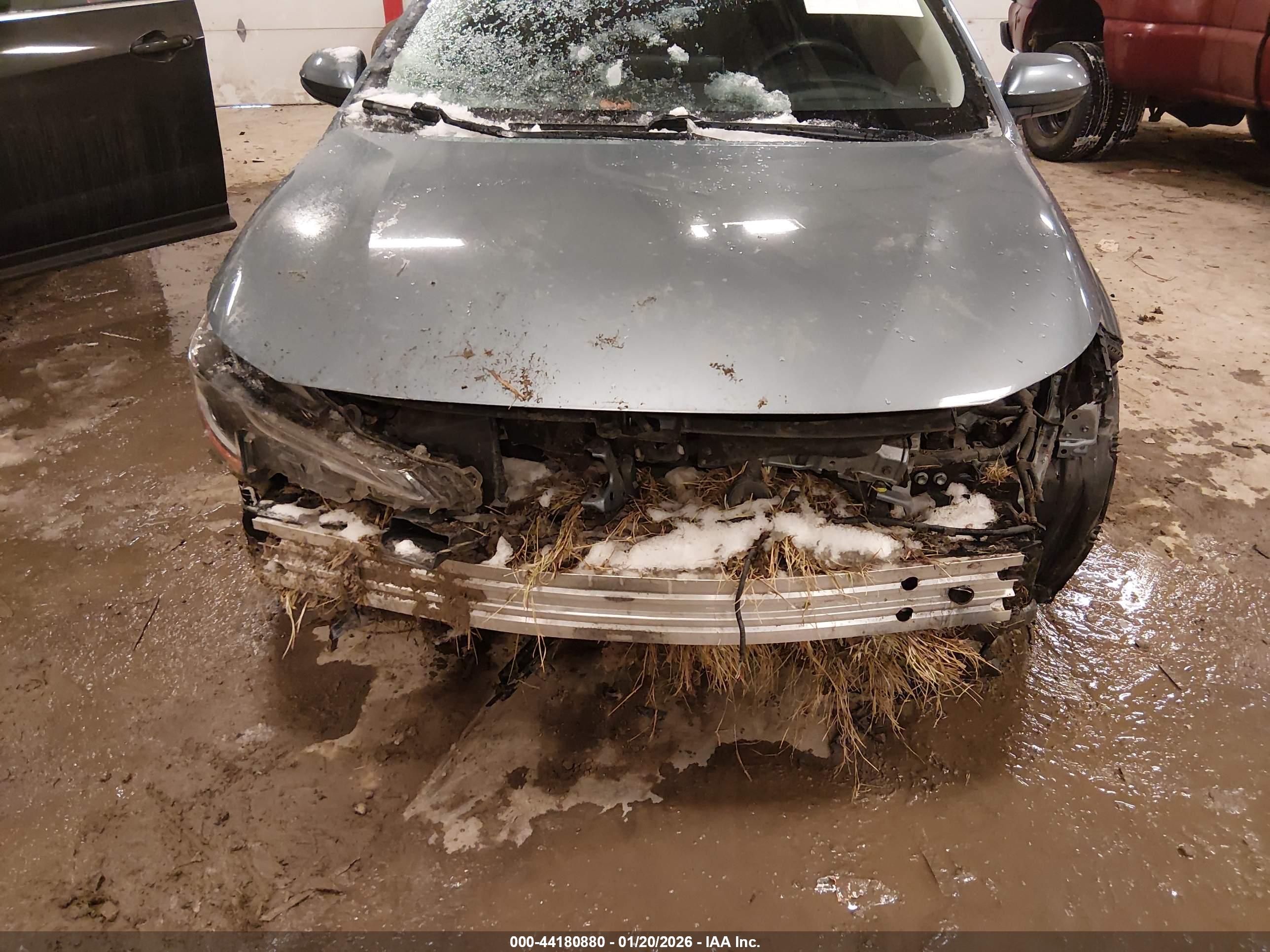 TOYOTA COROLLA image 6