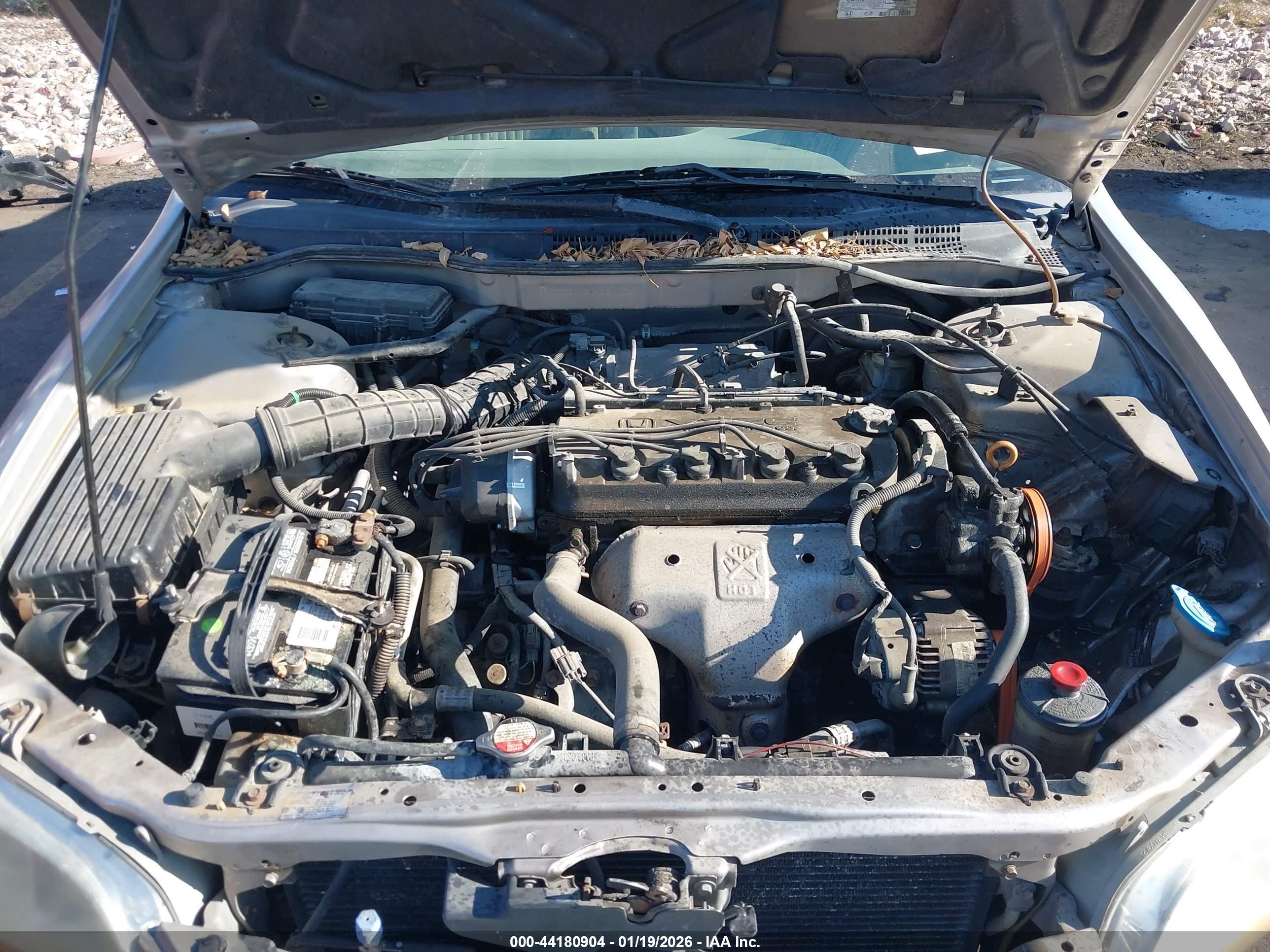 HONDA ACCORD image 10
