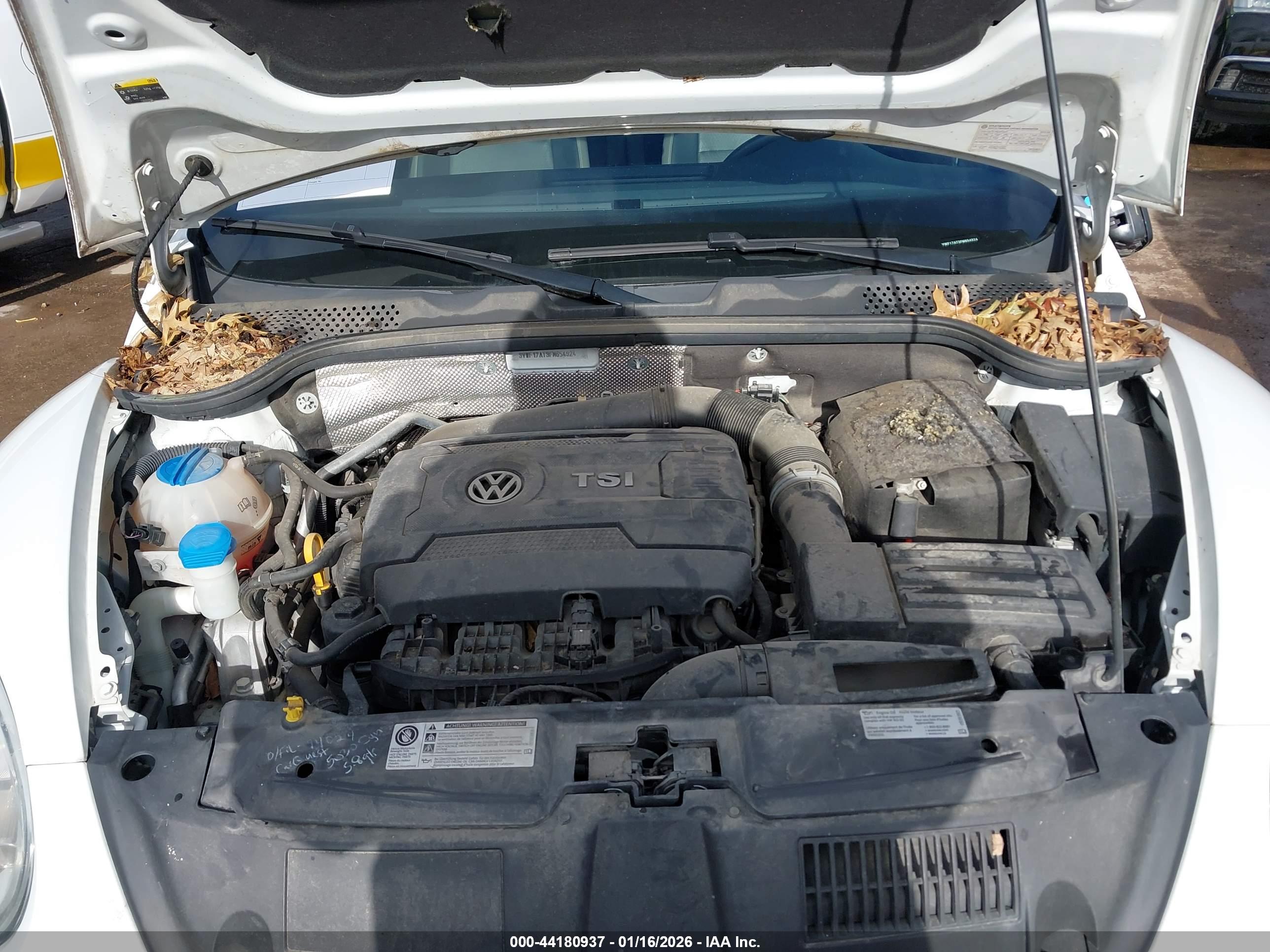 VOLKSWAGEN BEETLE image 10