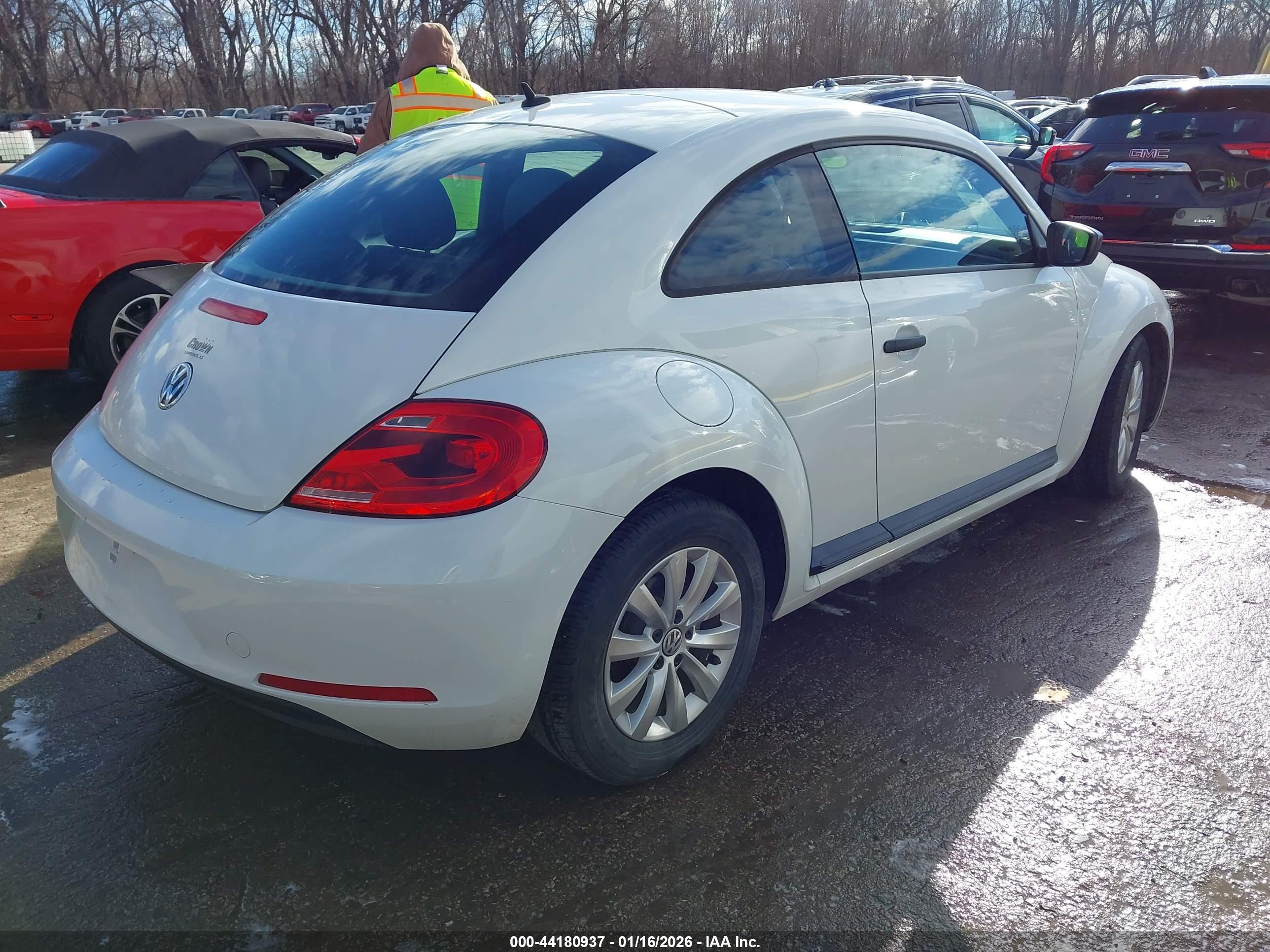 VOLKSWAGEN BEETLE image 4
