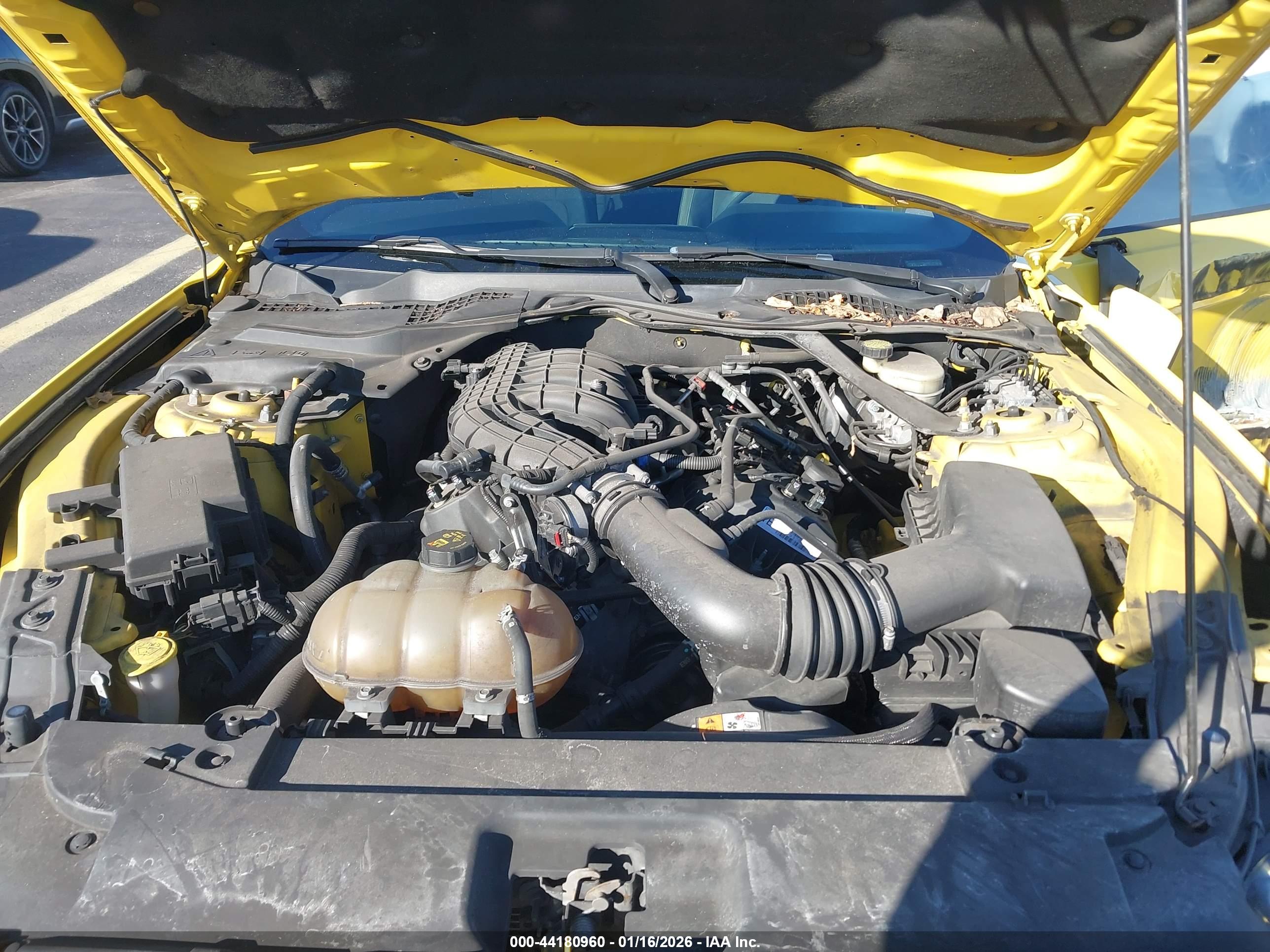 FORD MUSTANG image 10