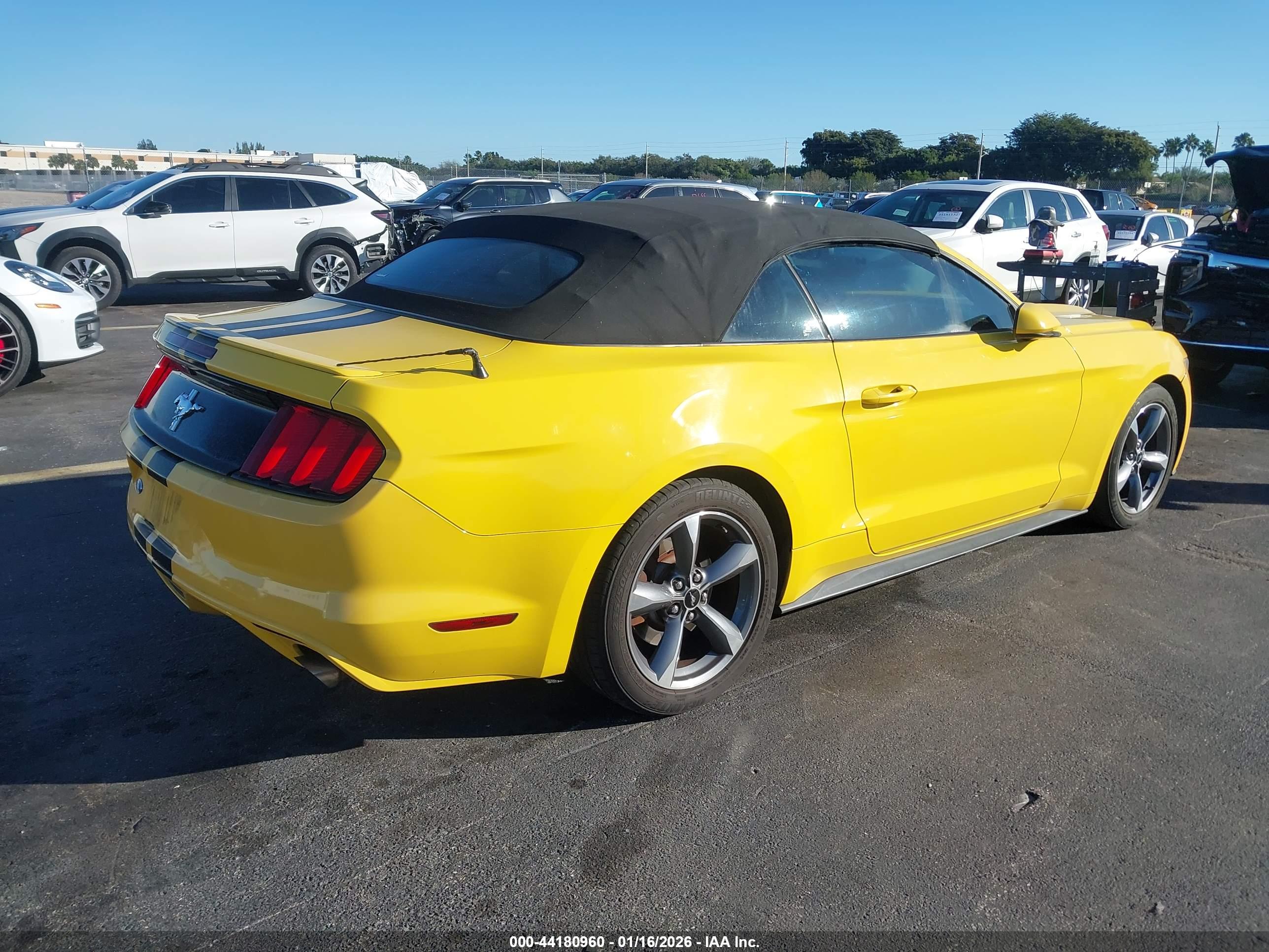 FORD MUSTANG image 4