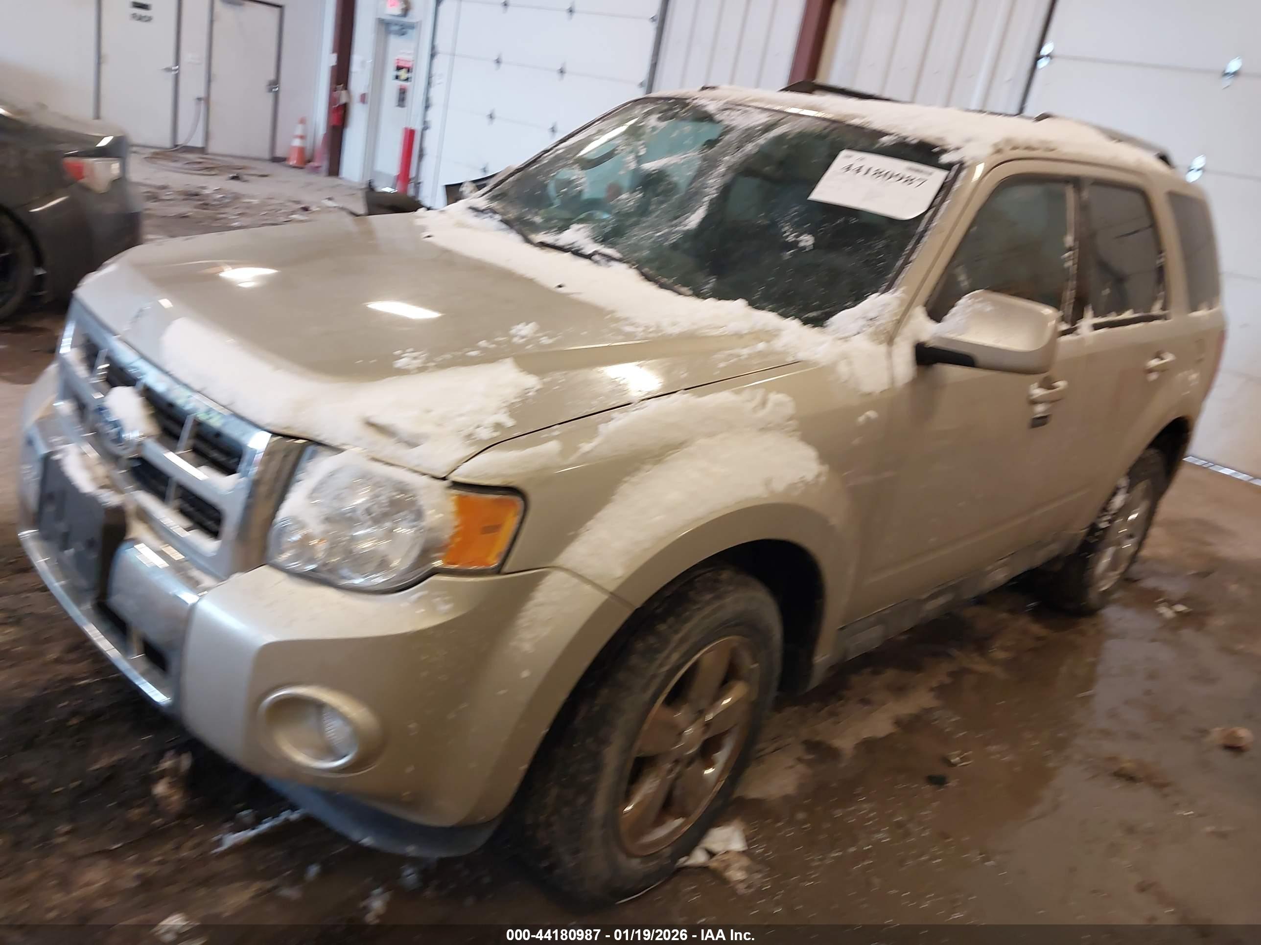 FORD ESCAPE image 2