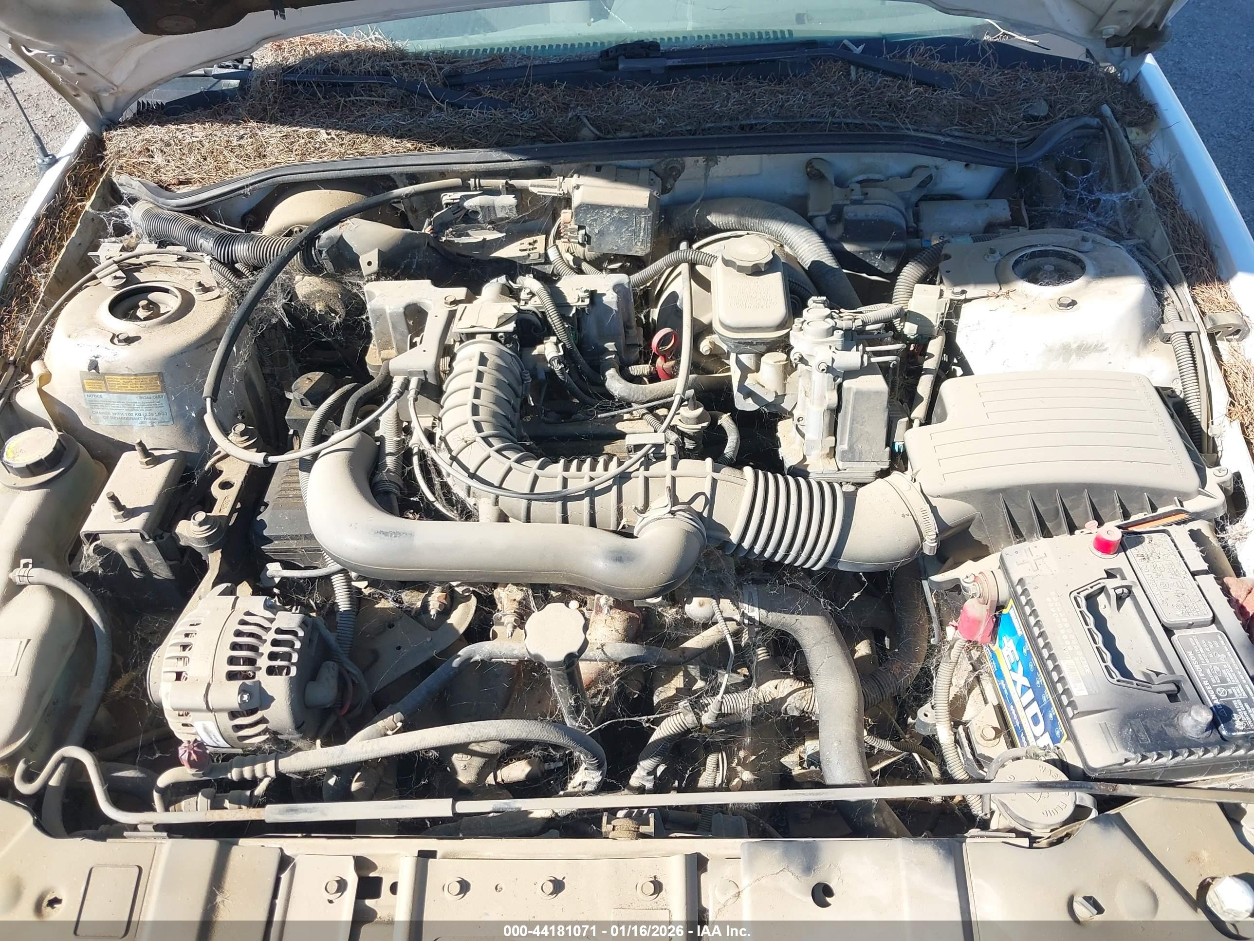 CHEVROLET CORSICA image 10