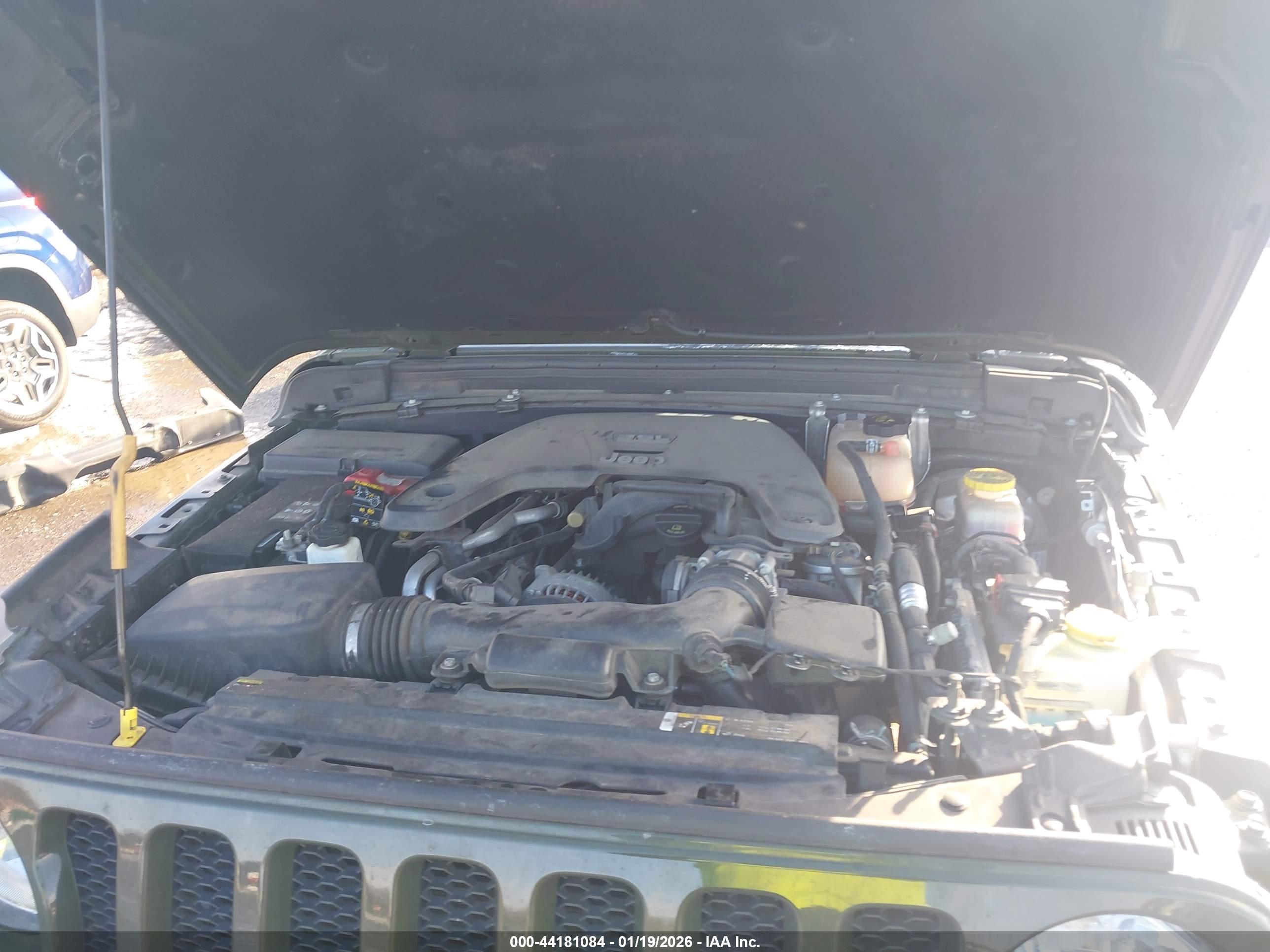 JEEP WRANGLER image 10