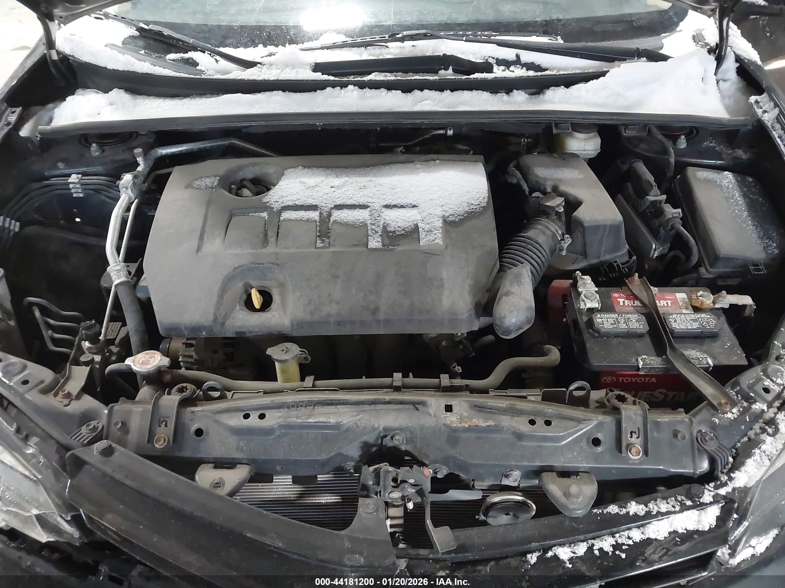 TOYOTA COROLLA image 10
