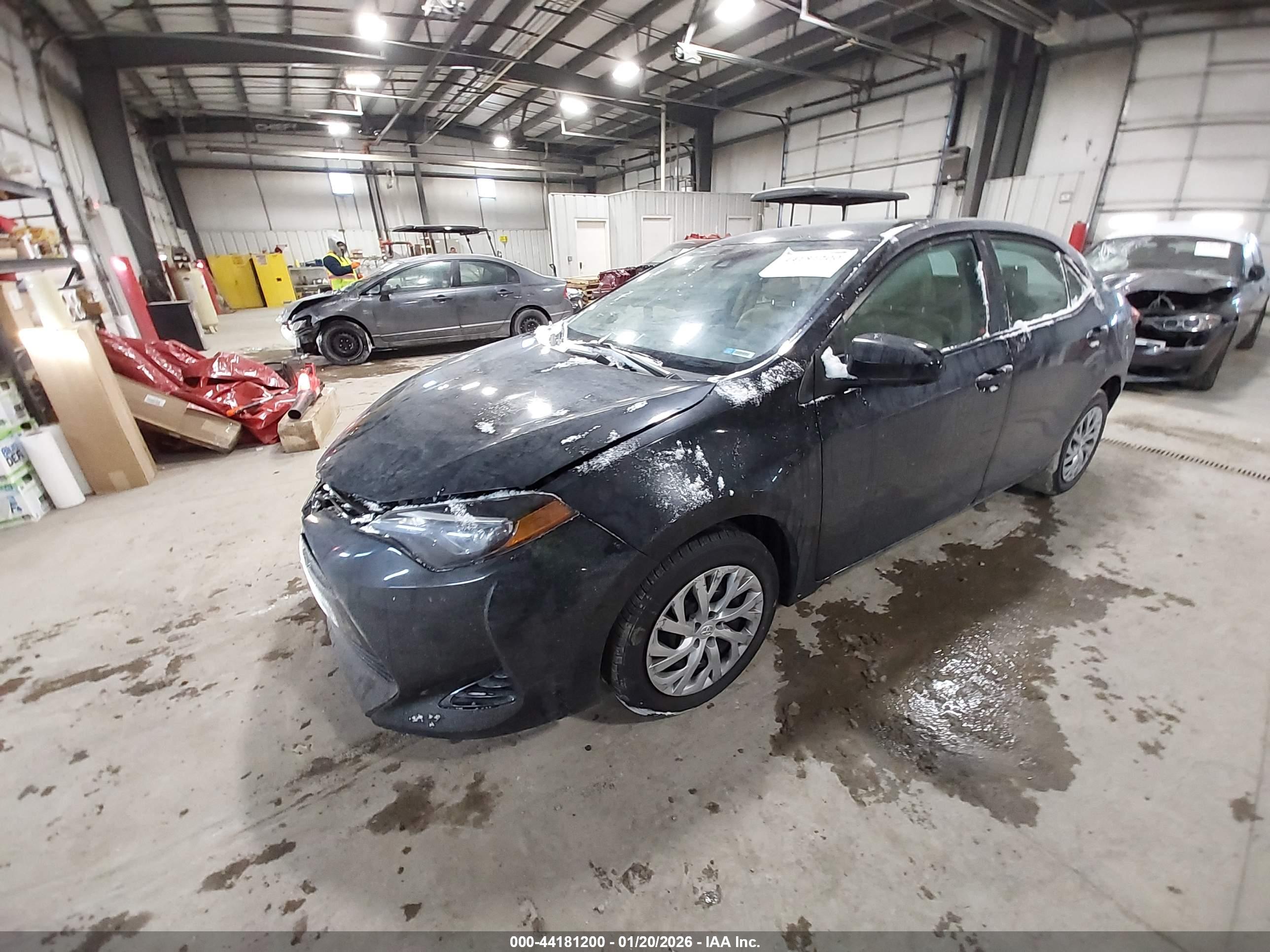 TOYOTA COROLLA image 2