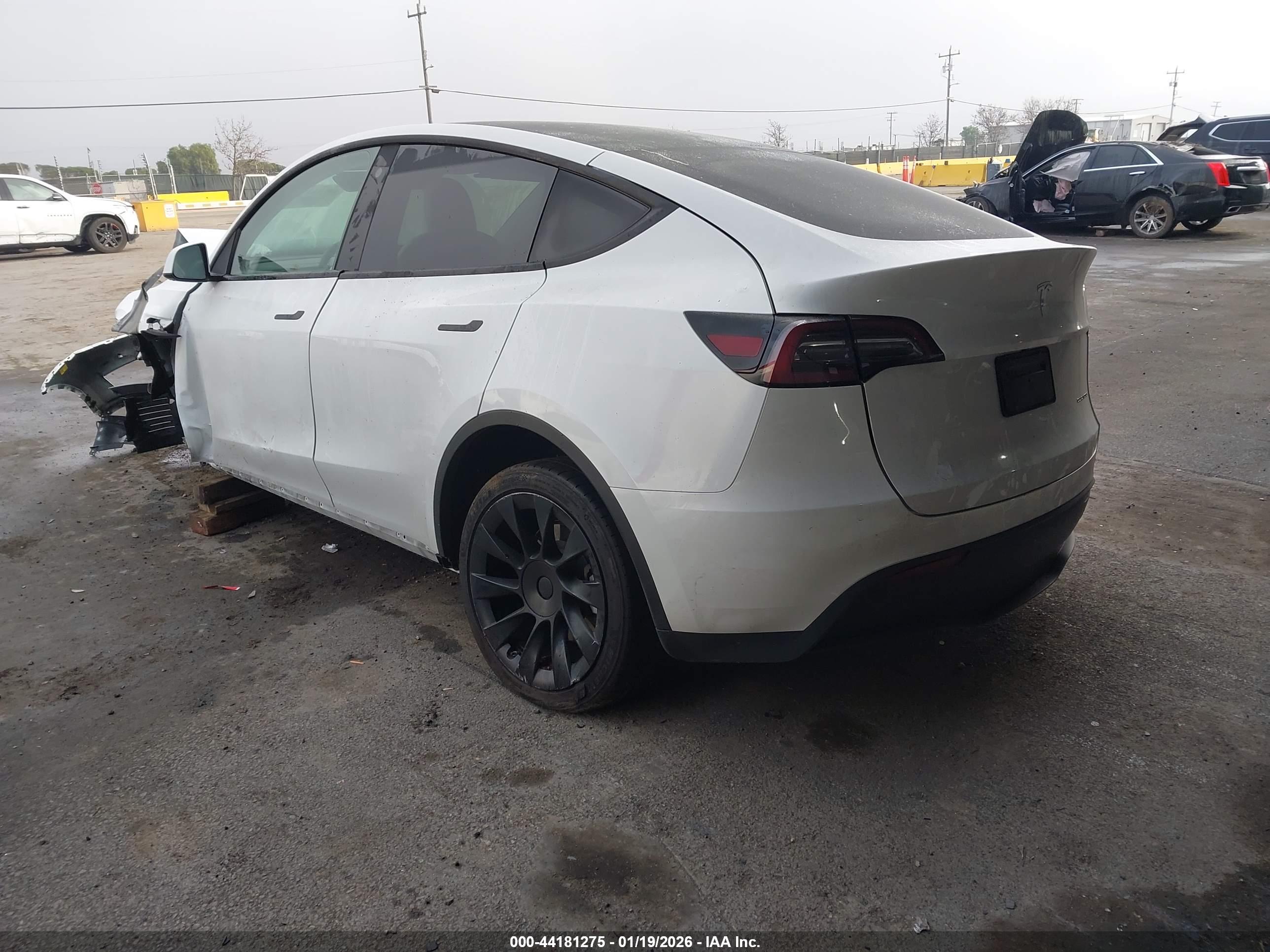 TESLA MODEL image 3