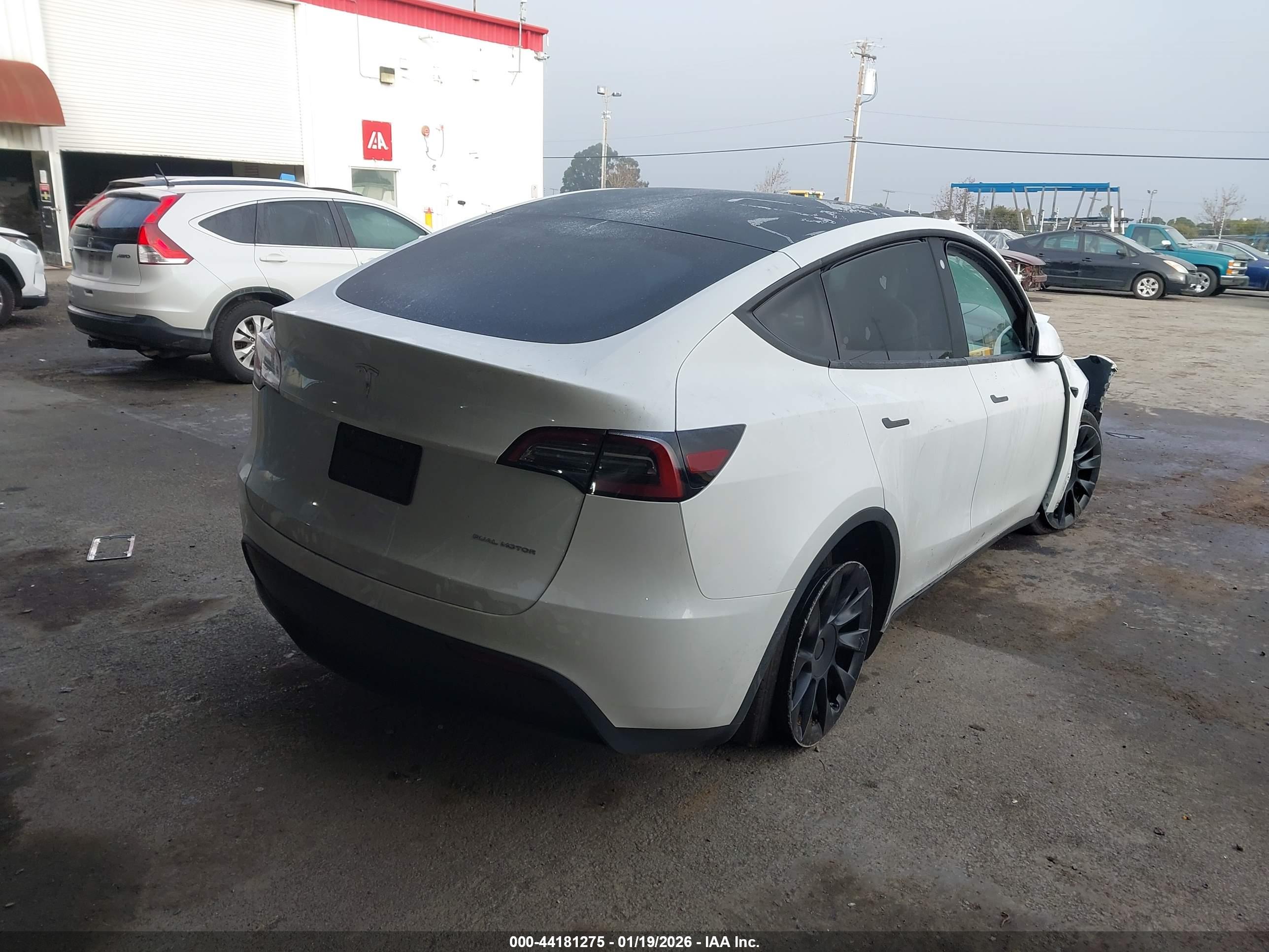 TESLA MODEL image 4