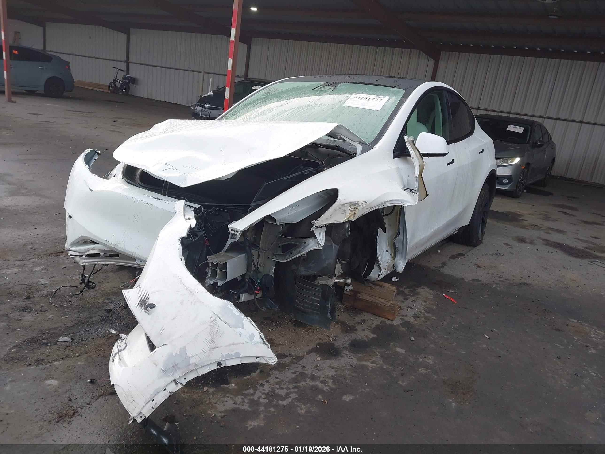 TESLA MODEL image 6