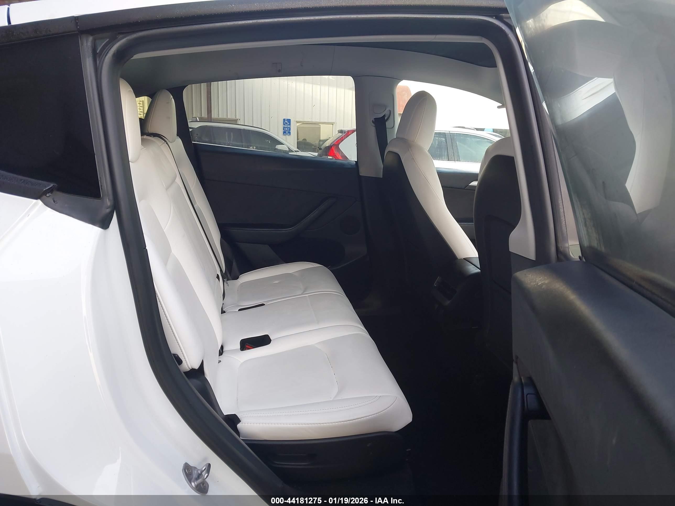TESLA MODEL image 8