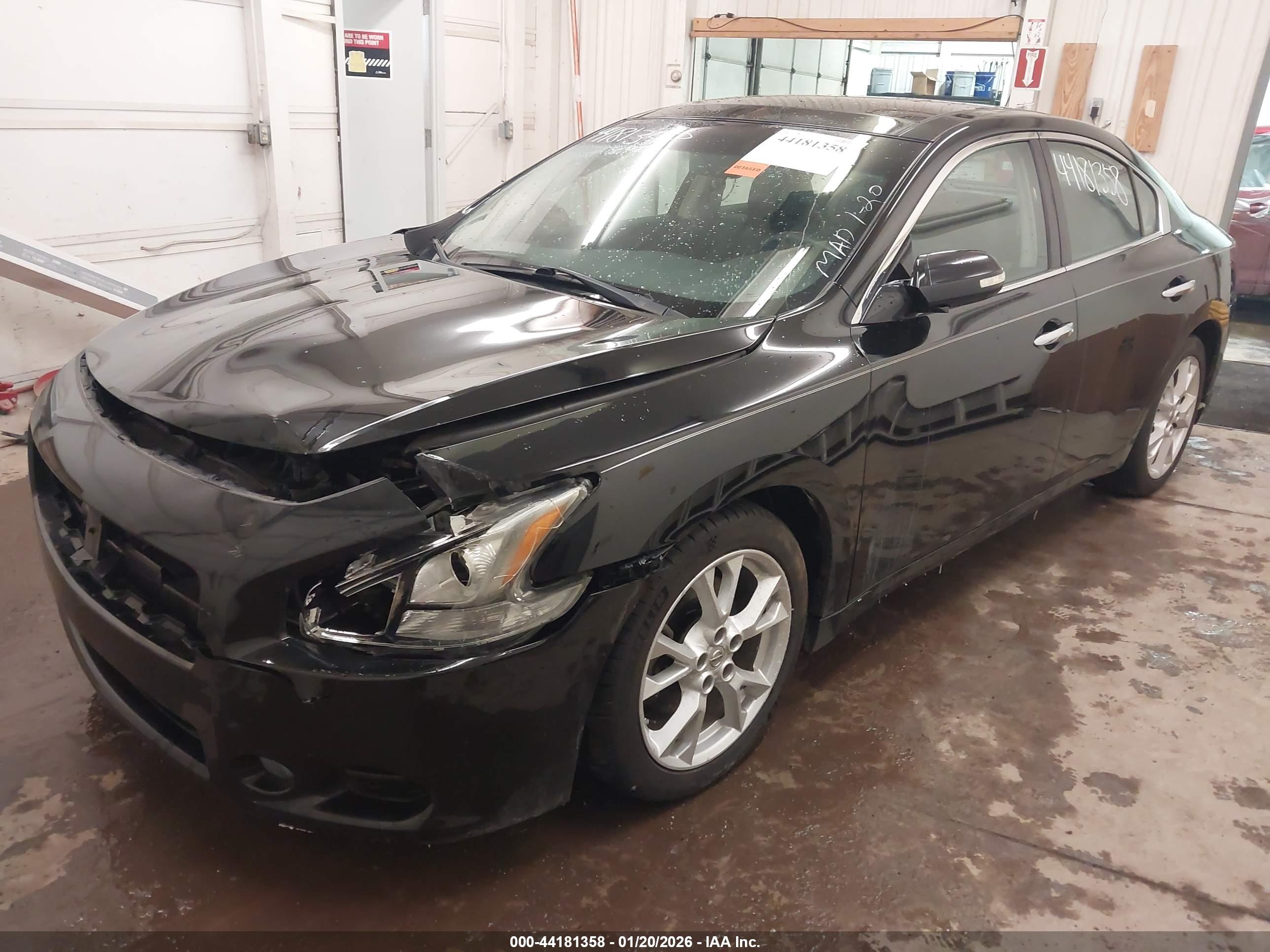 NISSAN MAXIMA image 6