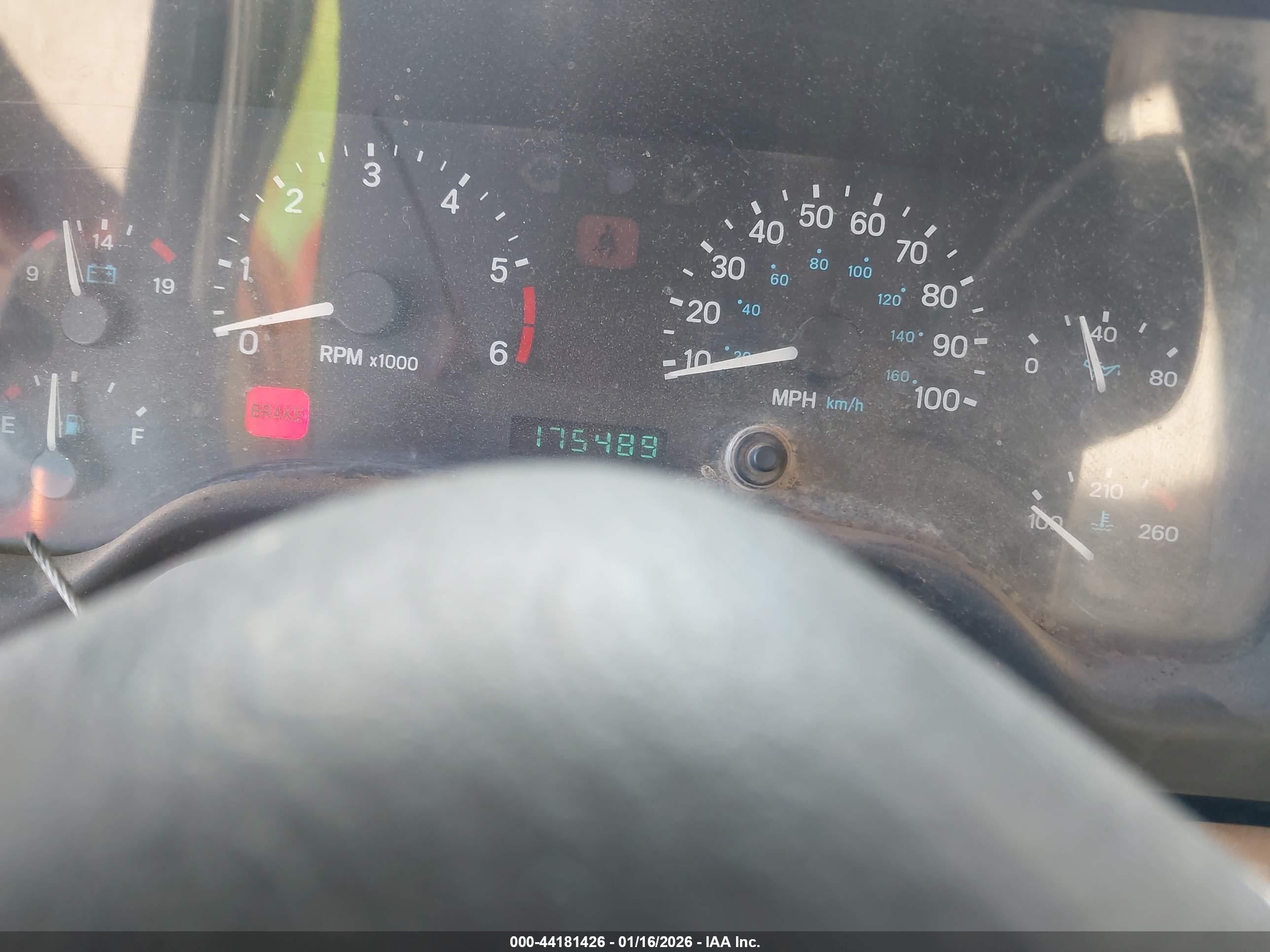 JEEP WRANGLER image 7