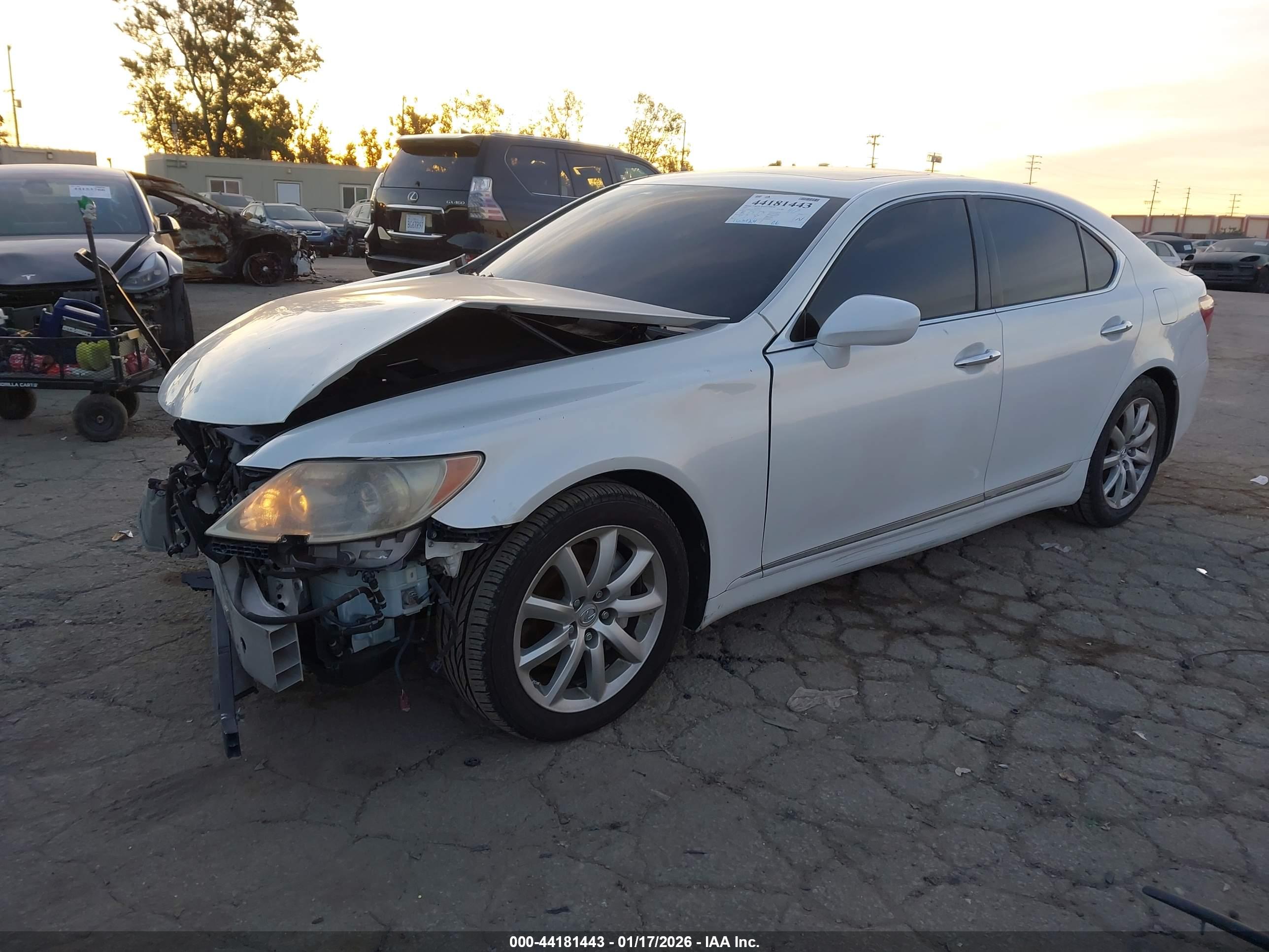 LEXUS LS image 2