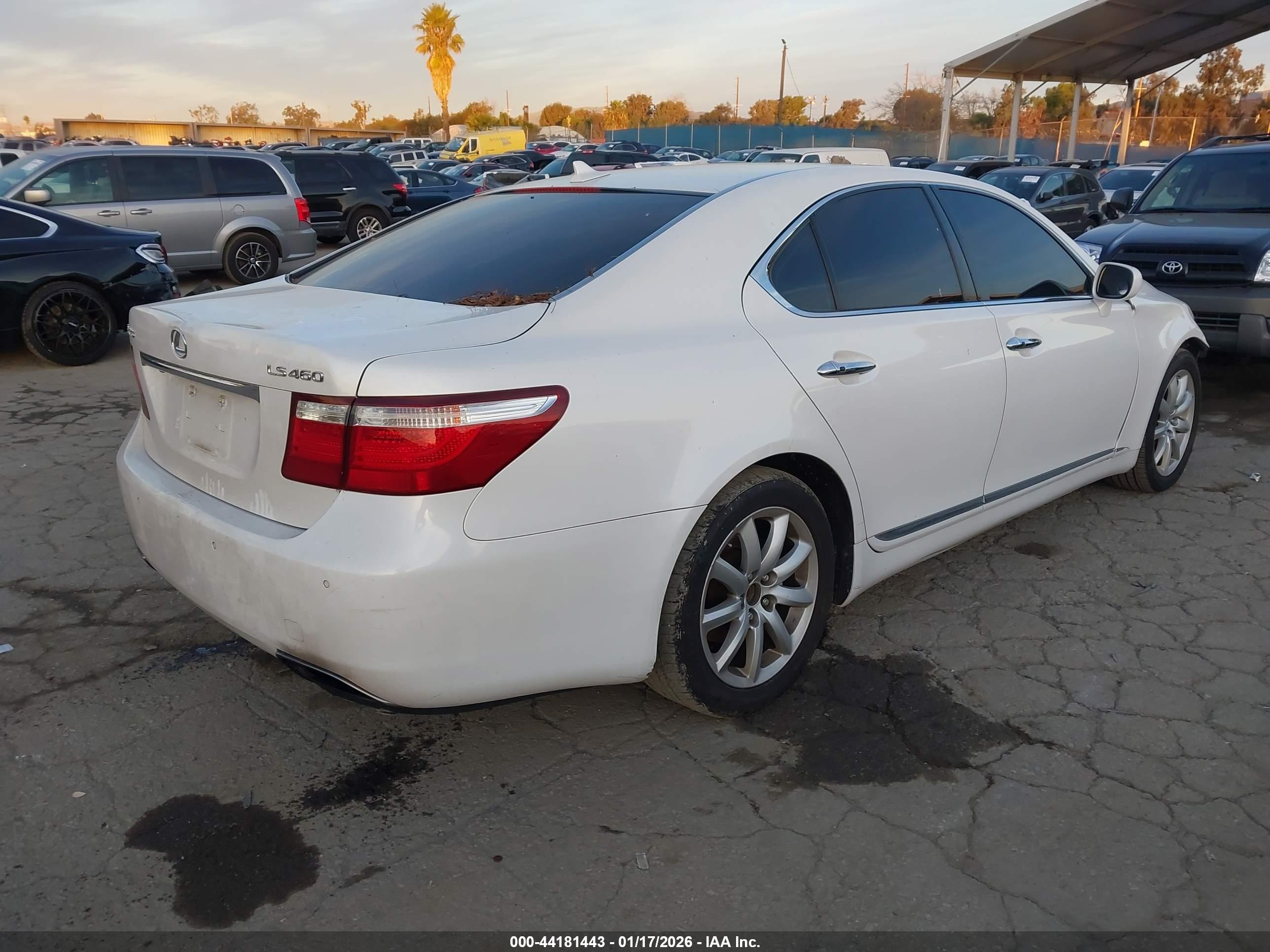 LEXUS LS image 4