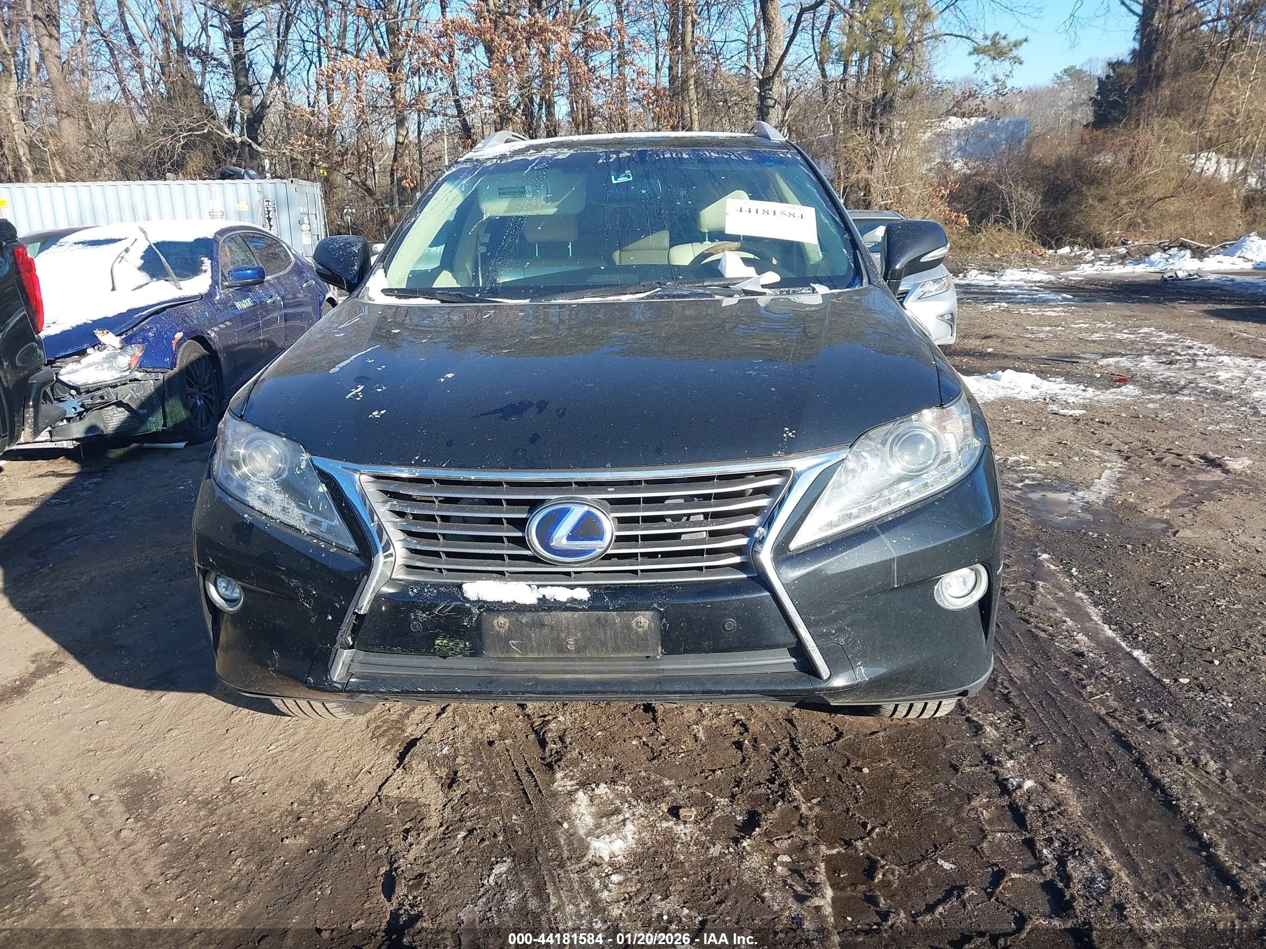 LEXUS RX image 6
