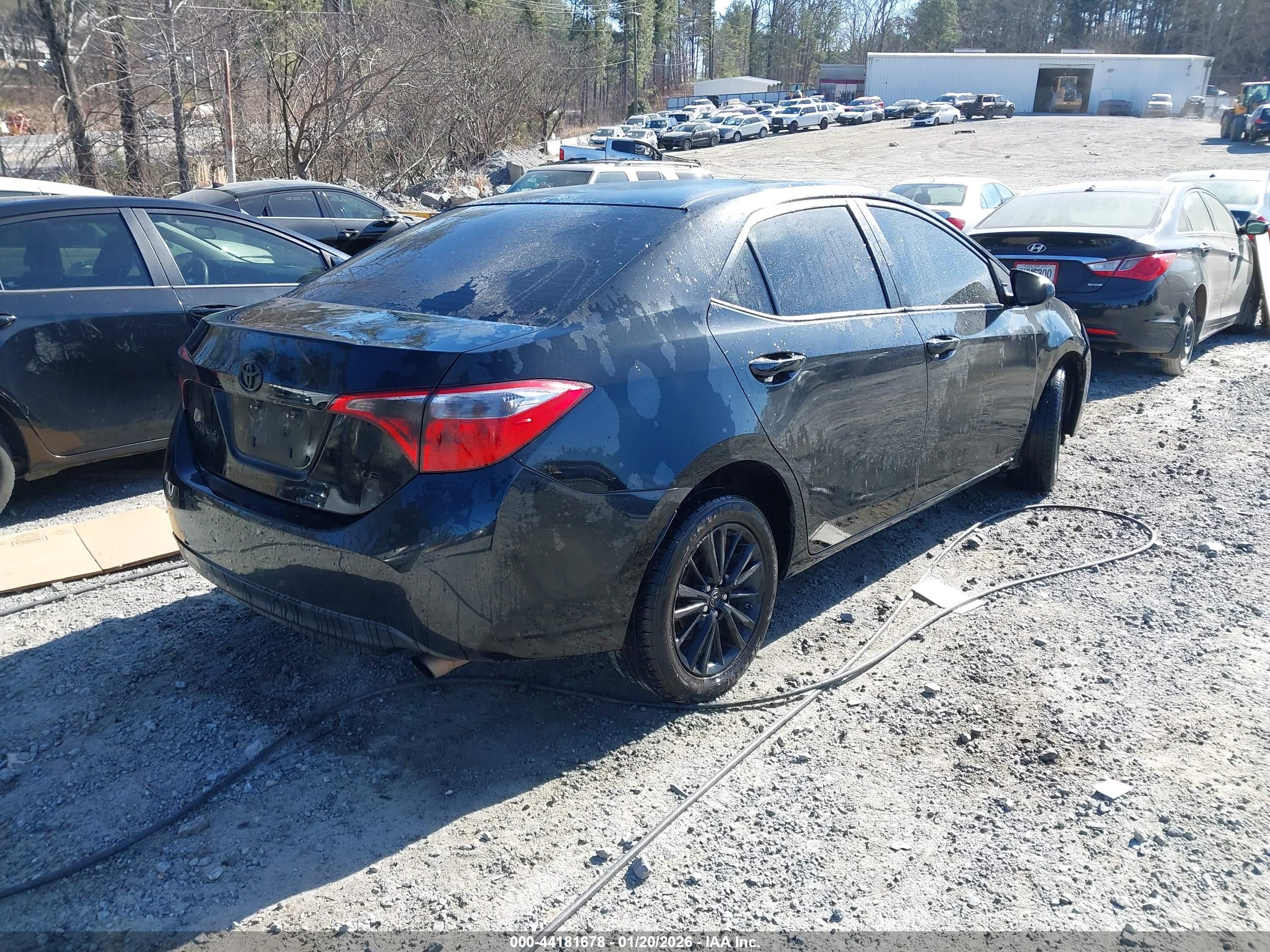 TOYOTA COROLLA image 4