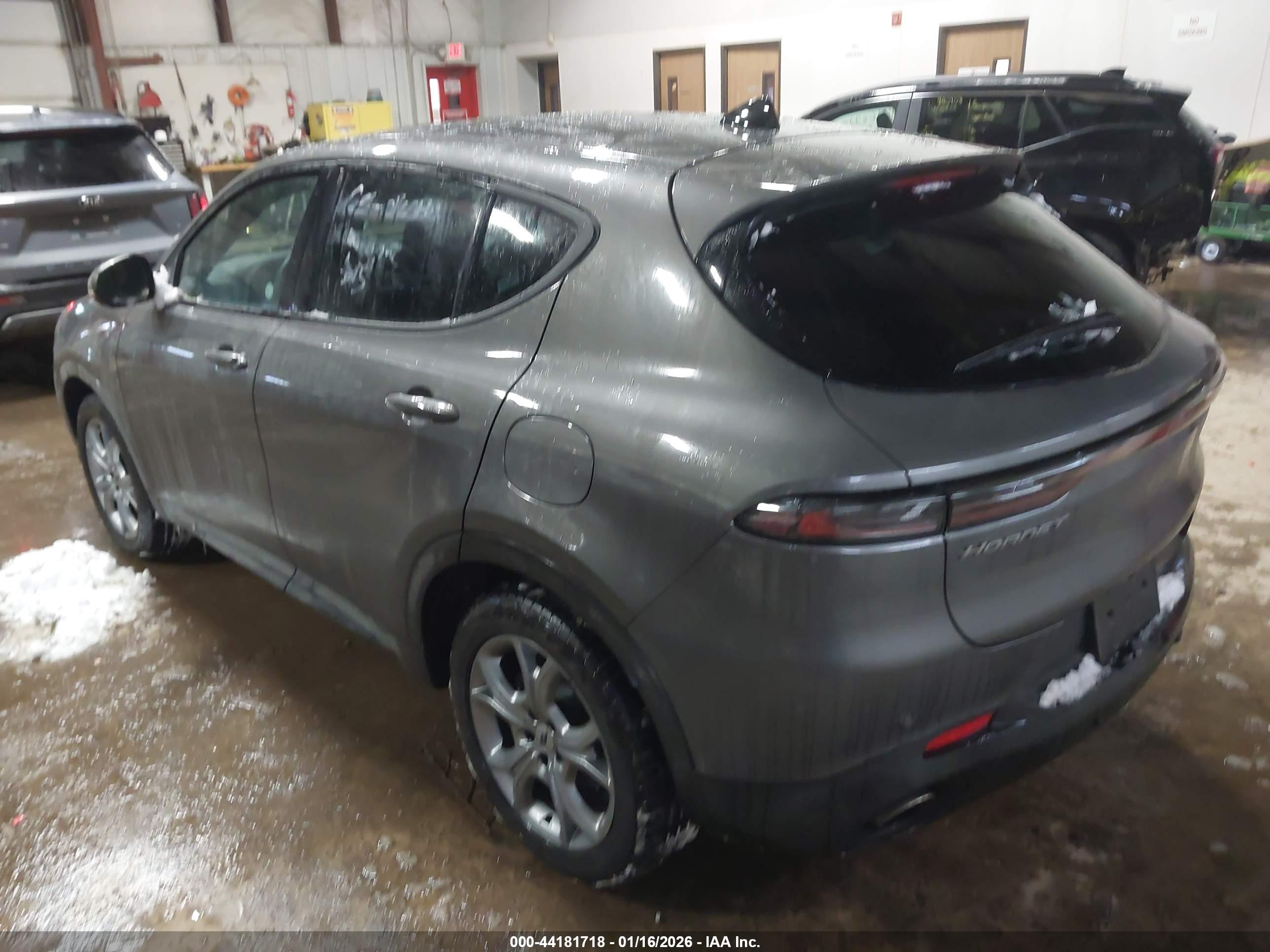 DODGE HORNET image 3
