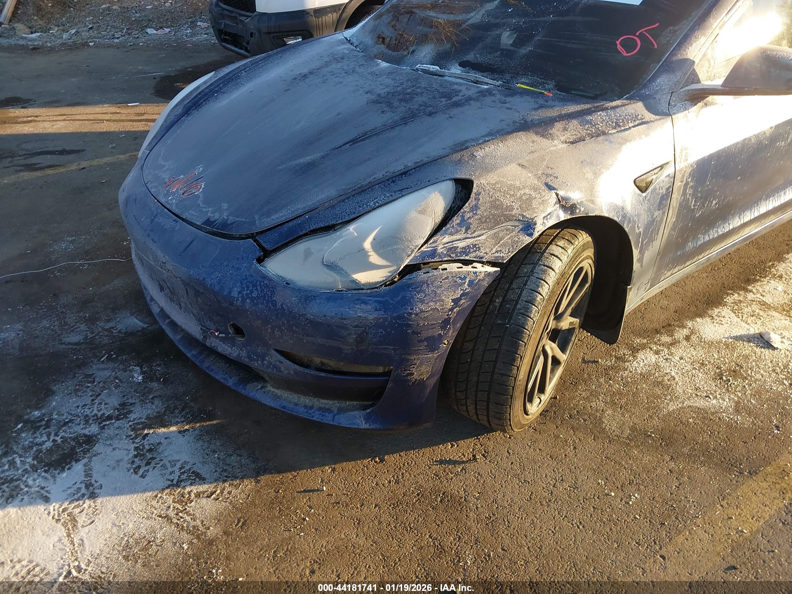 TESLA MODEL image 6