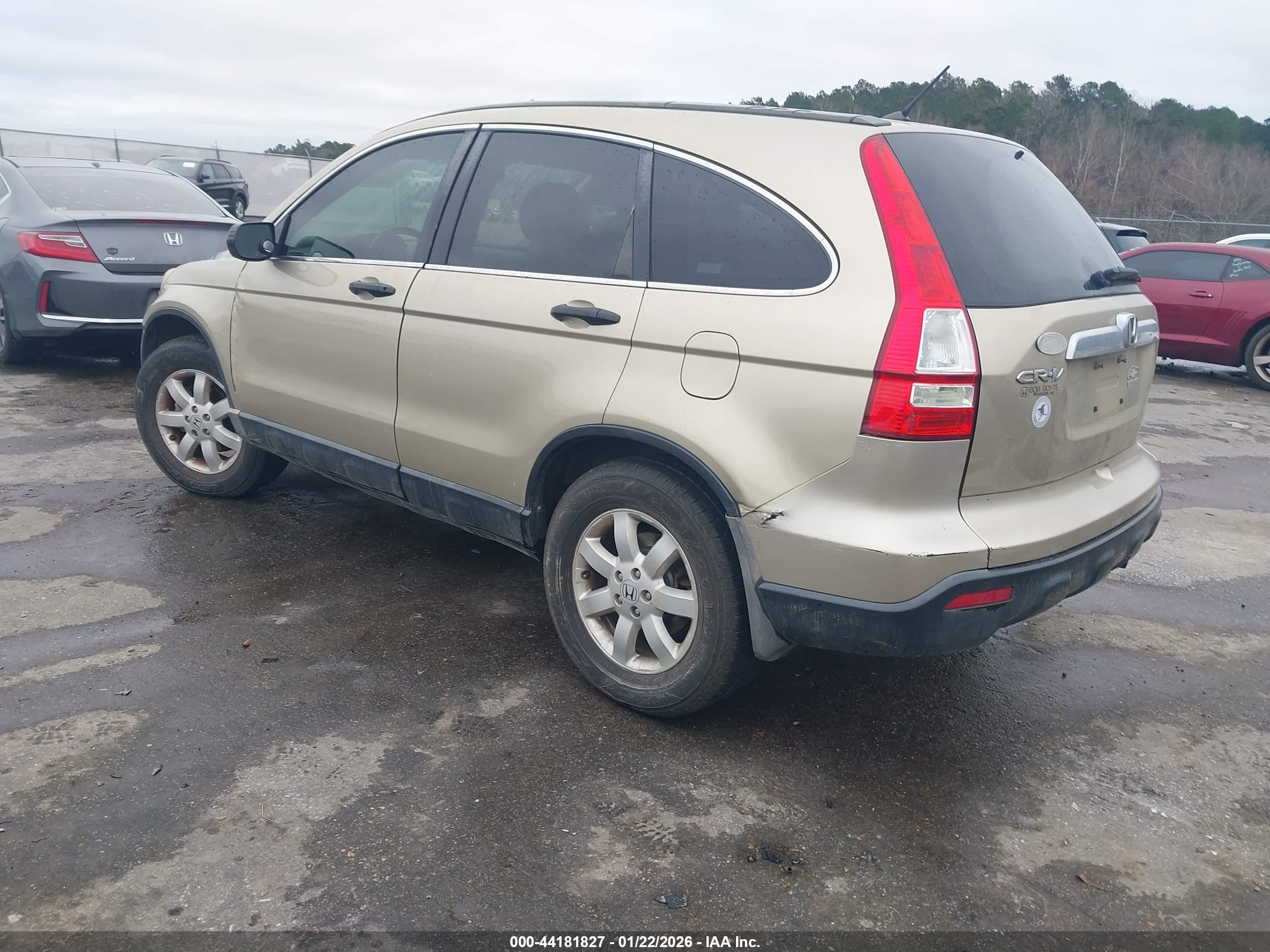 HONDA CR-V image 3