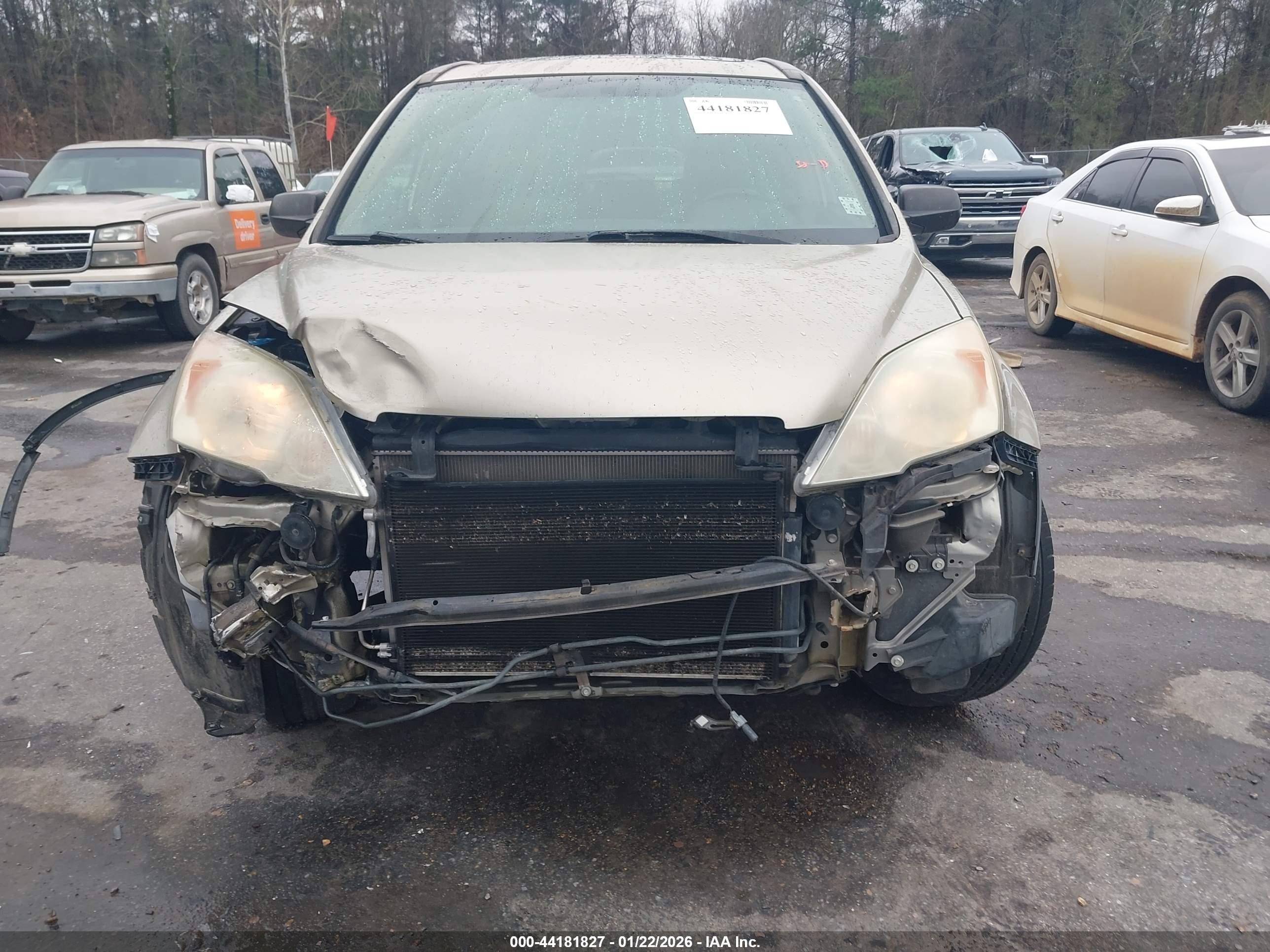 HONDA CR-V image 6