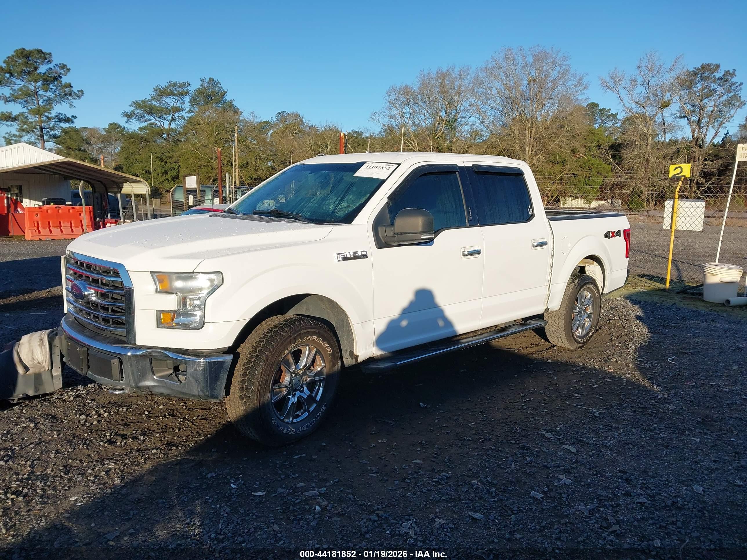 FORD F-150 image 2
